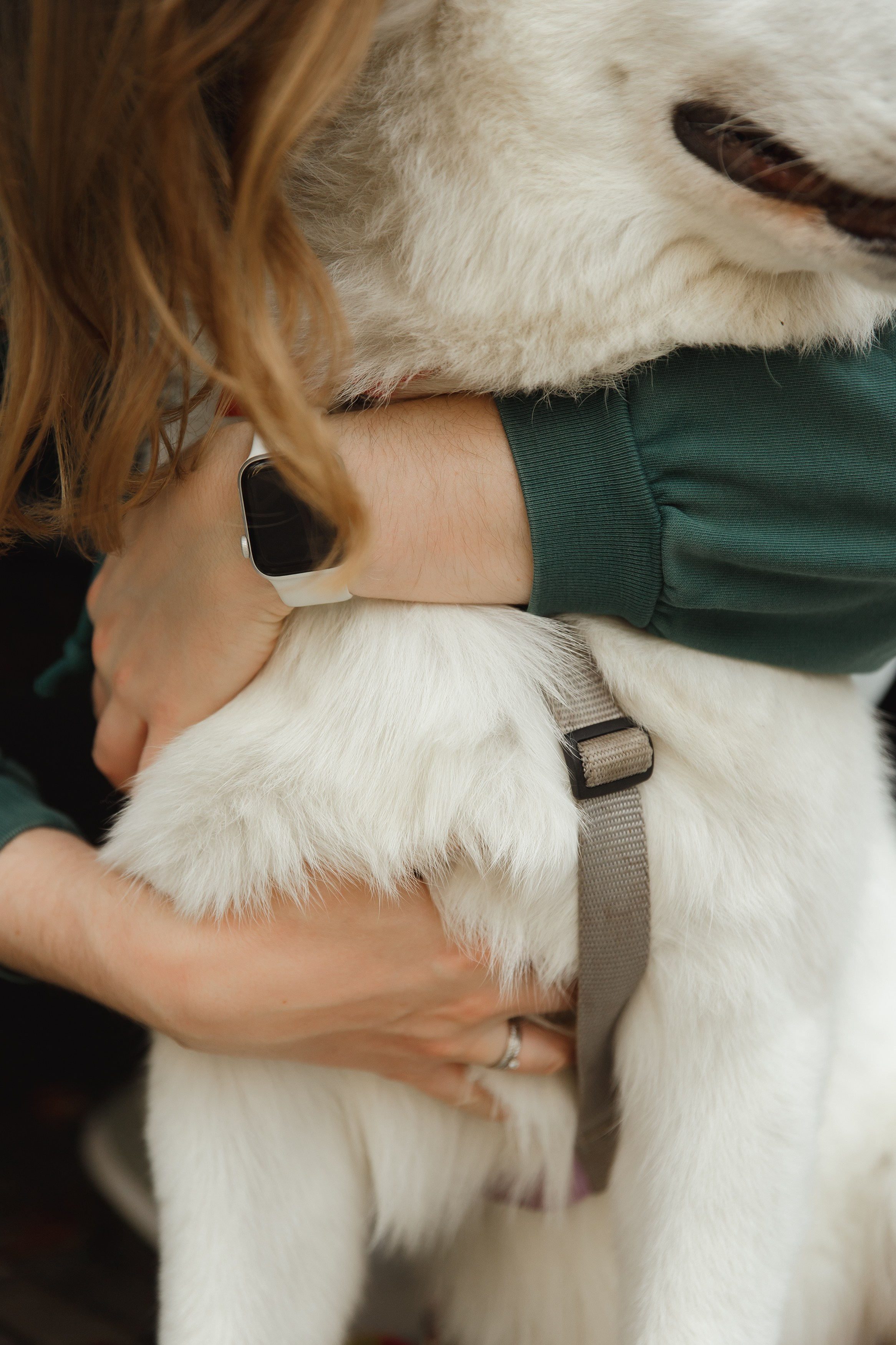 Astra in Leipzig. Kaja | fotograf we Wrocławiu | ludzie i psy