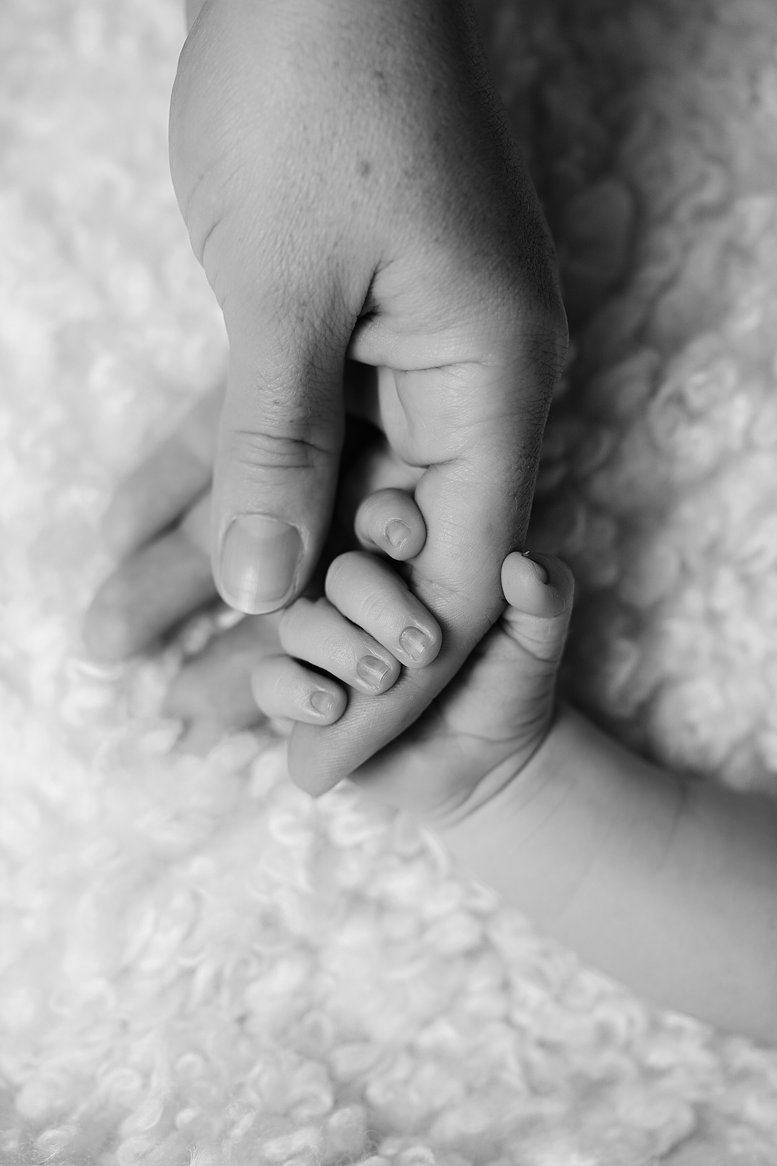Newborn studio. Bébé Newborn Photographer in Copenhagen