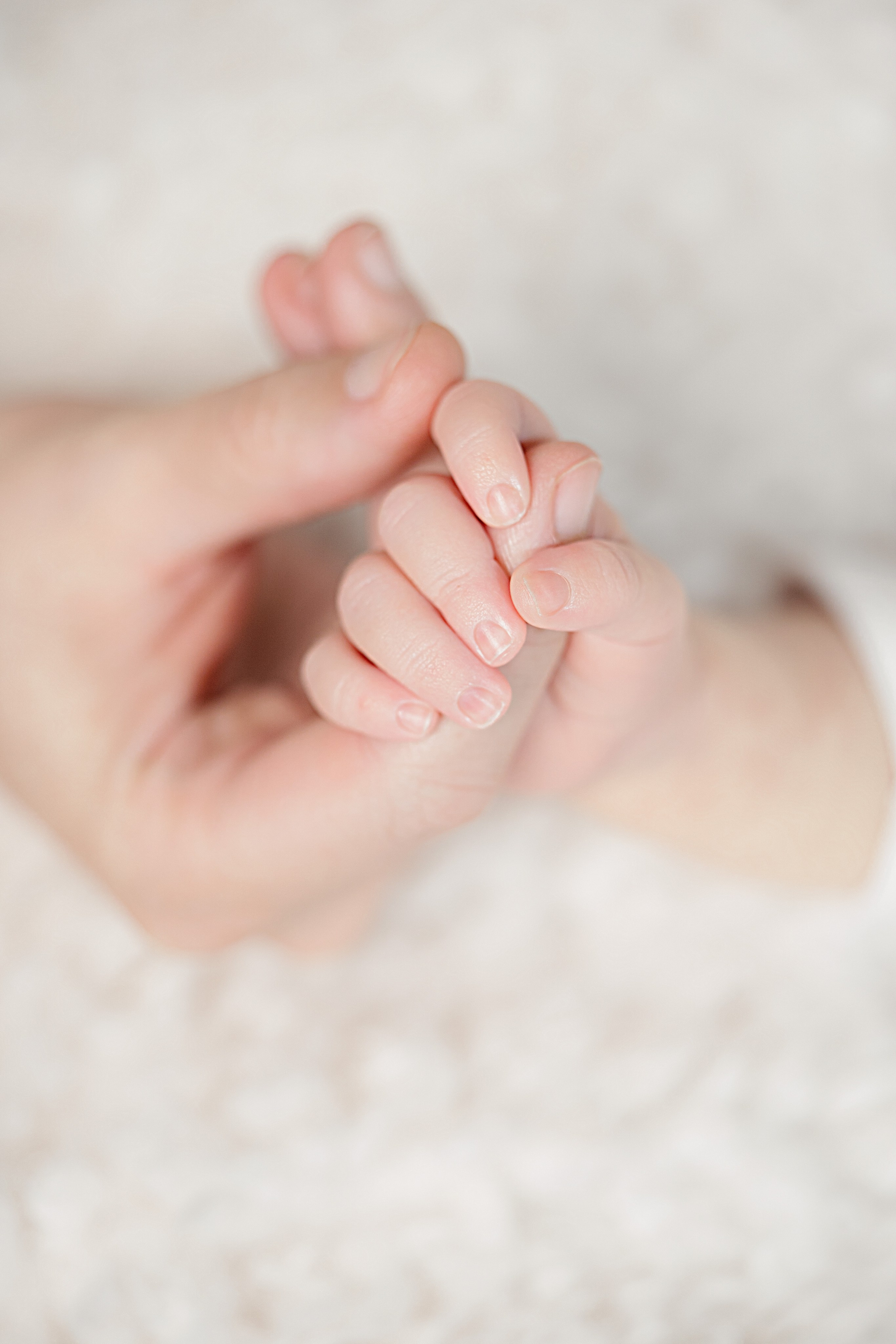 Newborn studio. Bébé Newborn Photographer in Copenhagen