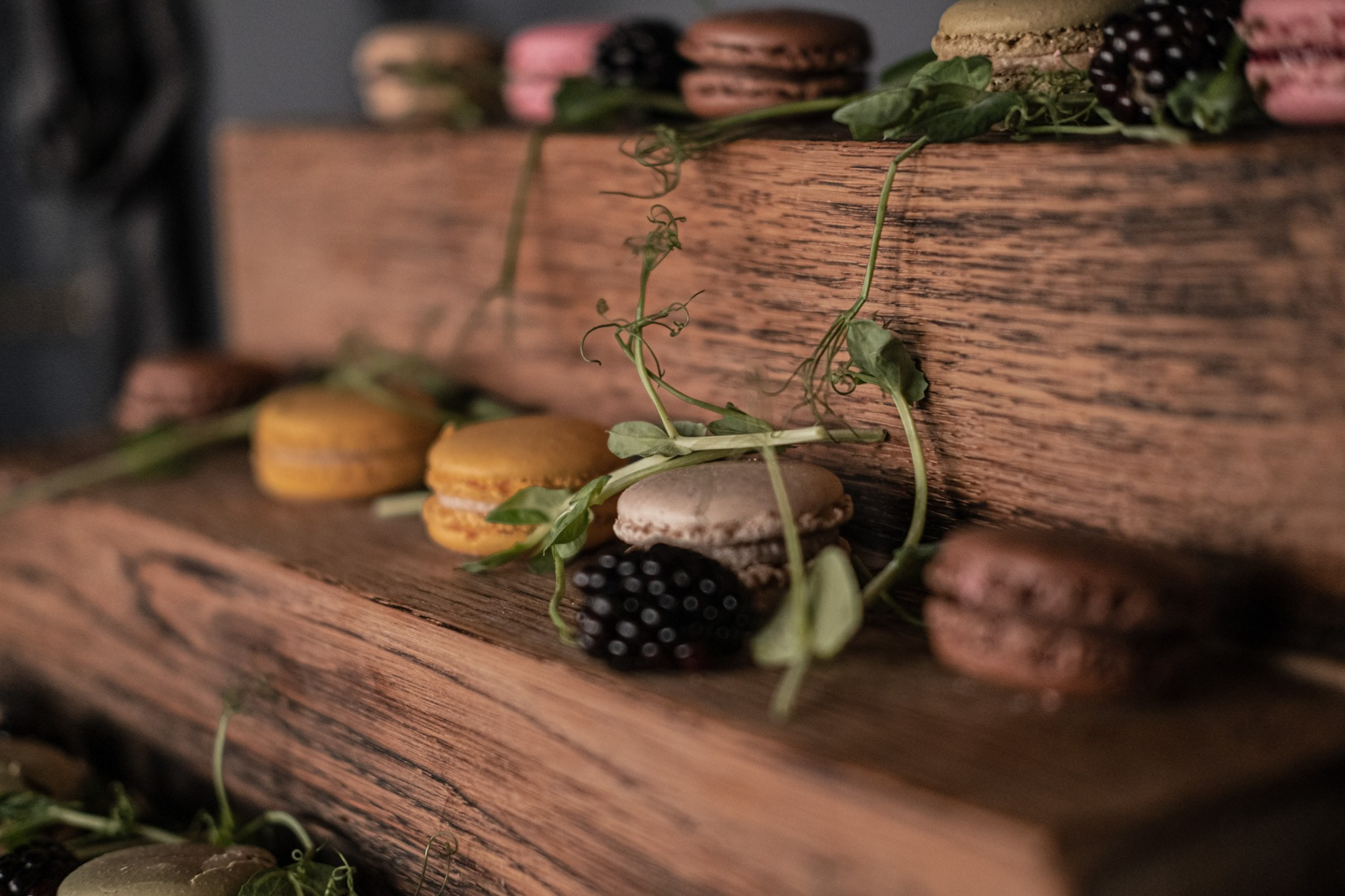 Företagsfotograf i Norrbotten | Professionell företagsfoto