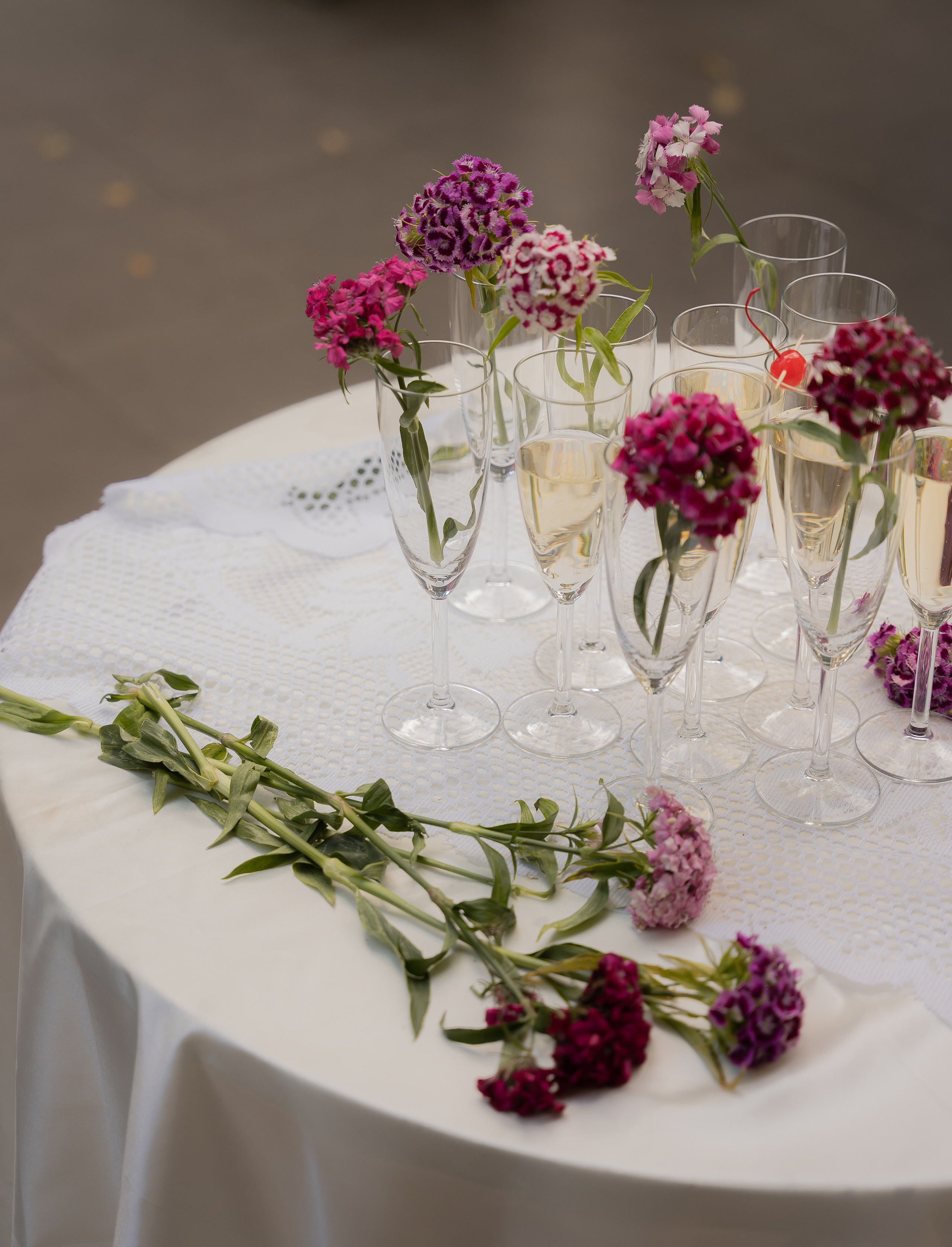 The book’s release