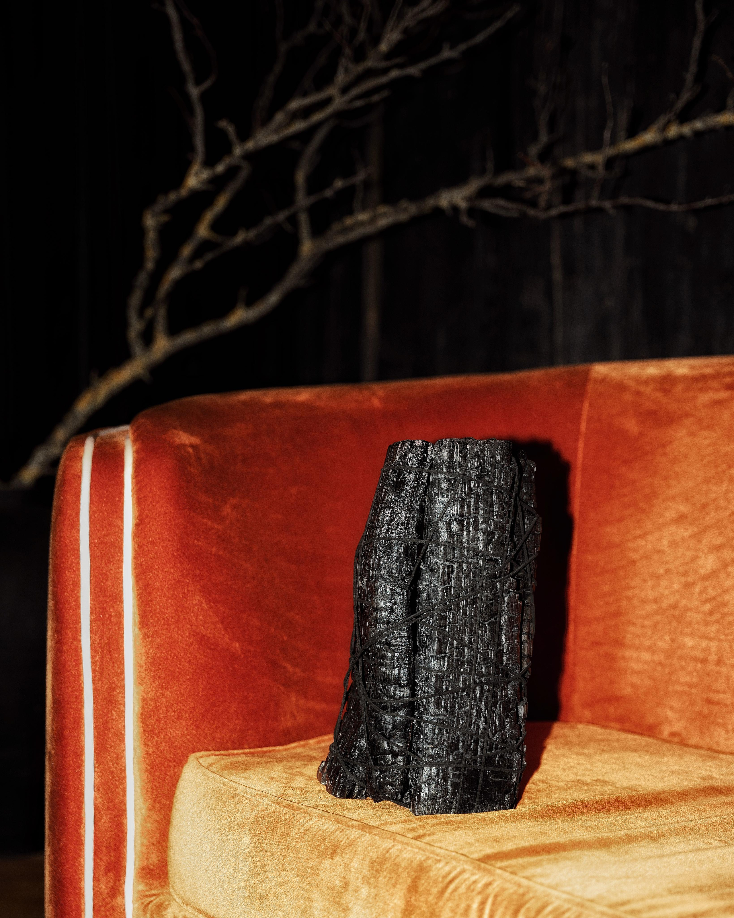 Contemporary Hotel “Zola”| Vienna