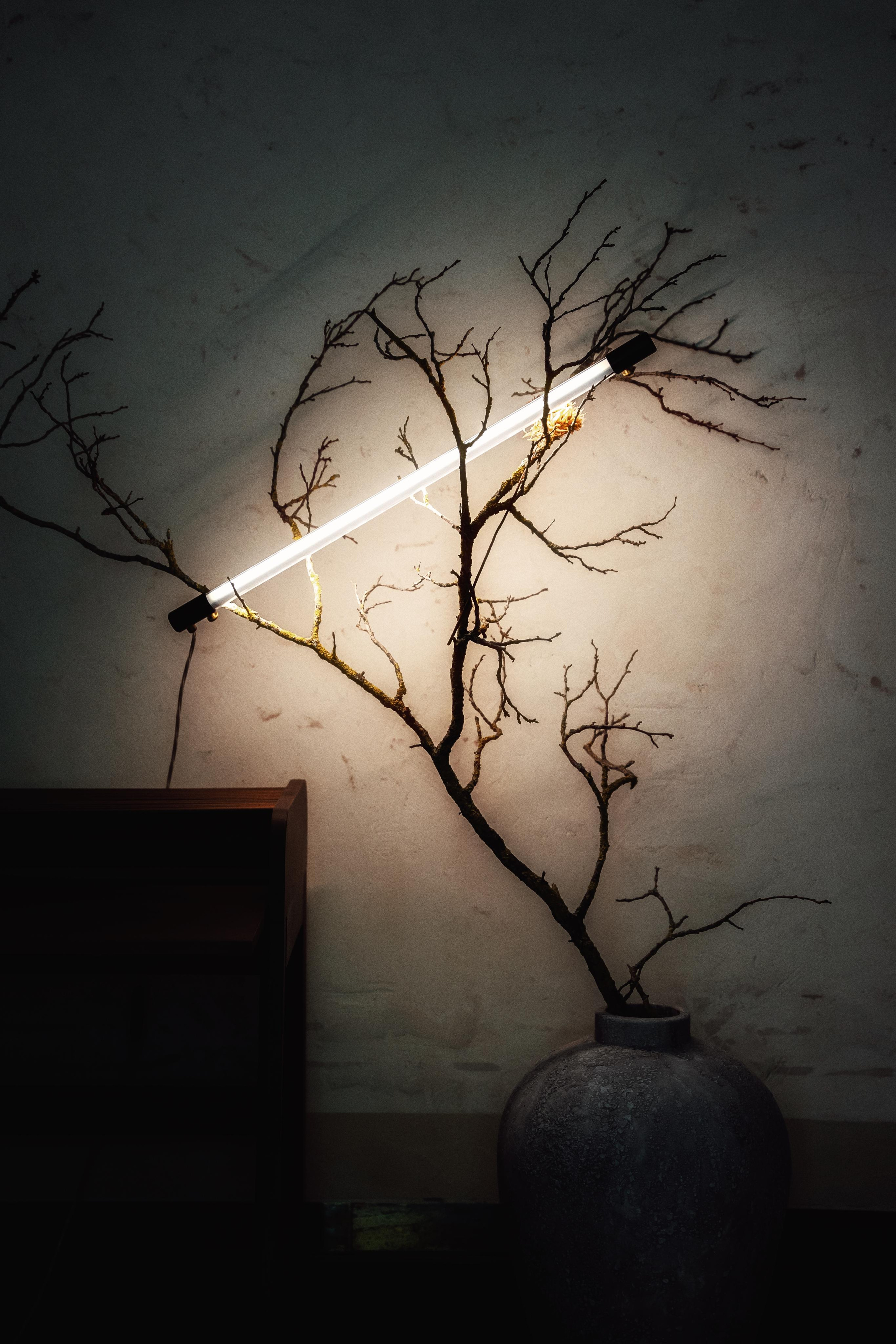 Contemporary Hotel “Zola”| Vienna