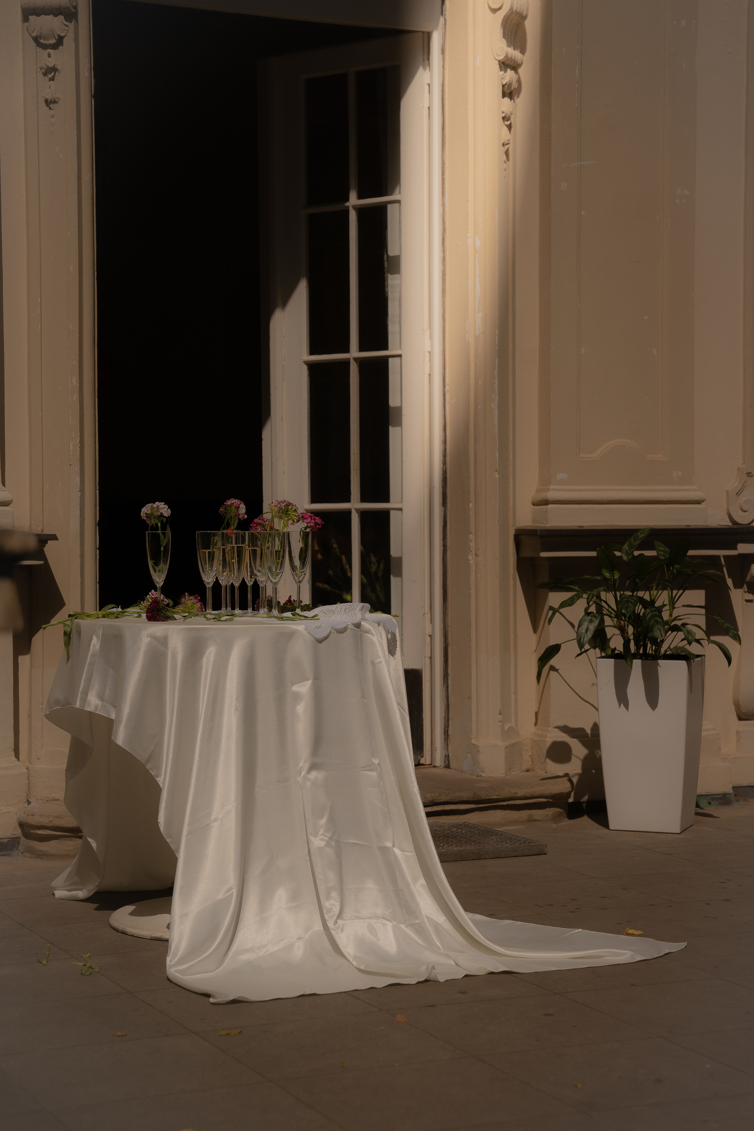 The book’s release