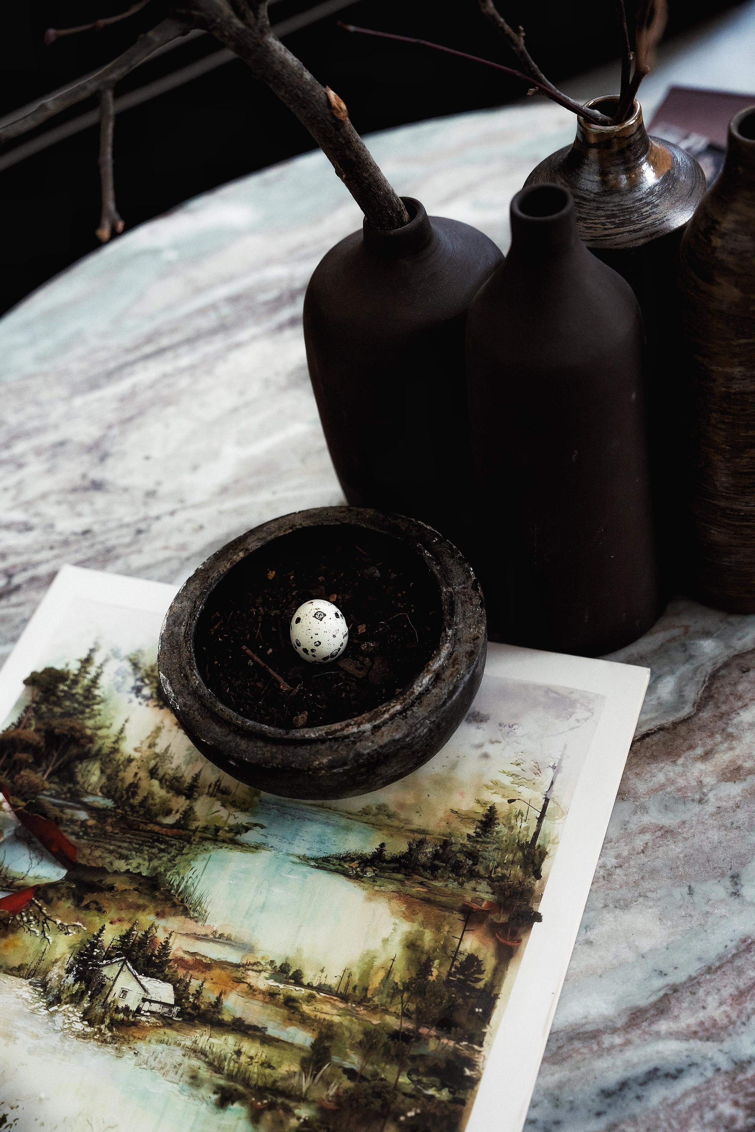 Contemporary Hotel “Zola”| Vienna