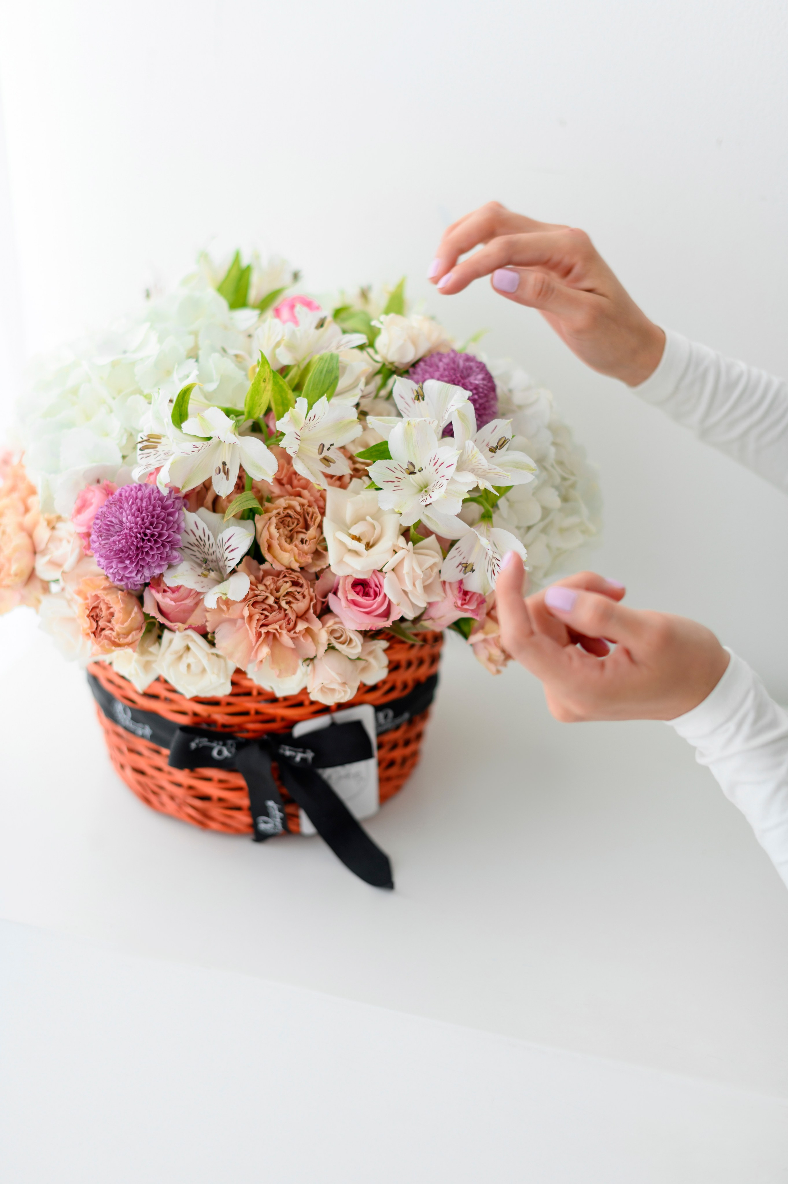 Marca personal. Tania Tovar Fotografia