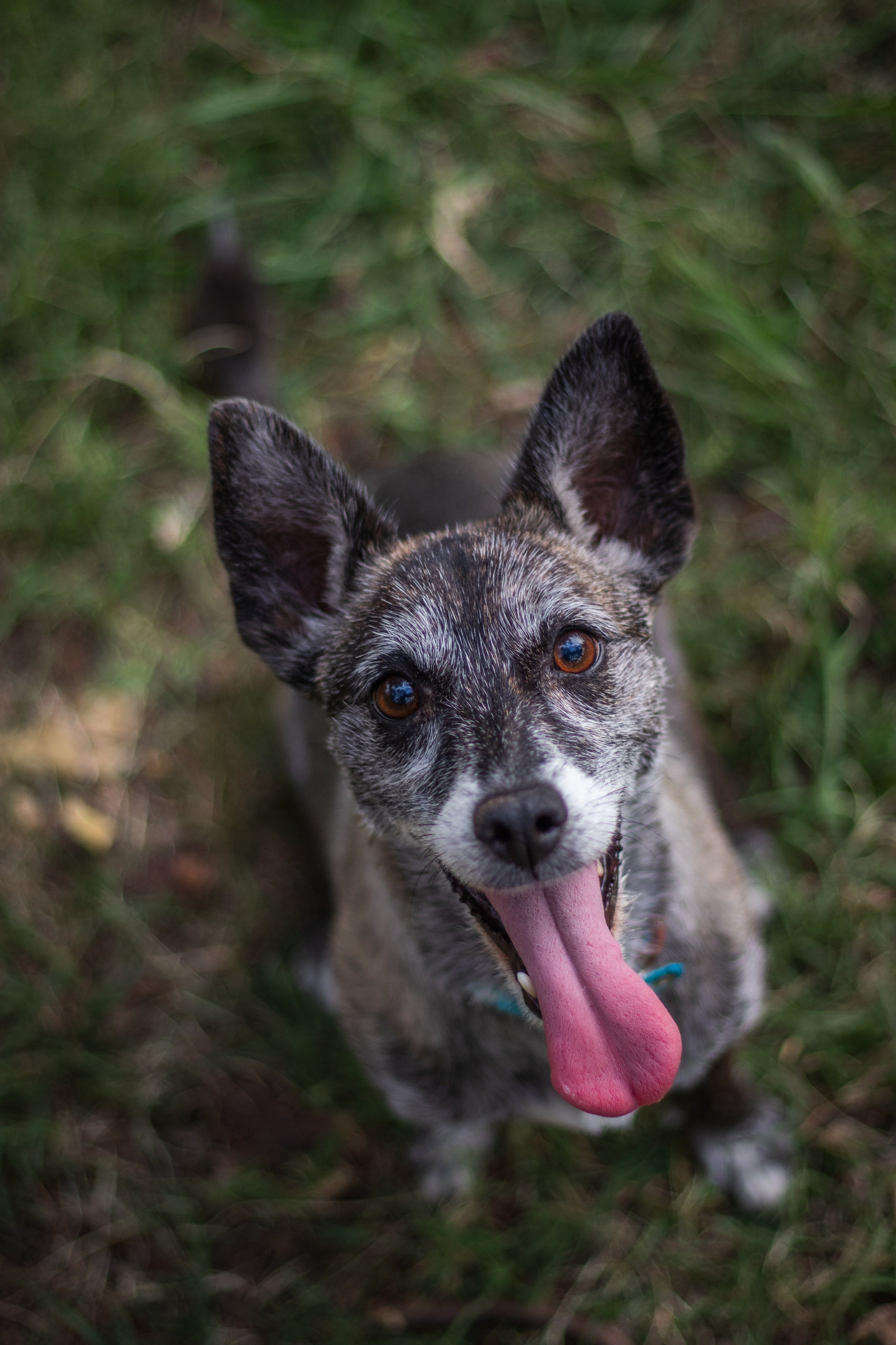 Maya & Pablo. Fotógrafo en Mendoza Alexander Safonov