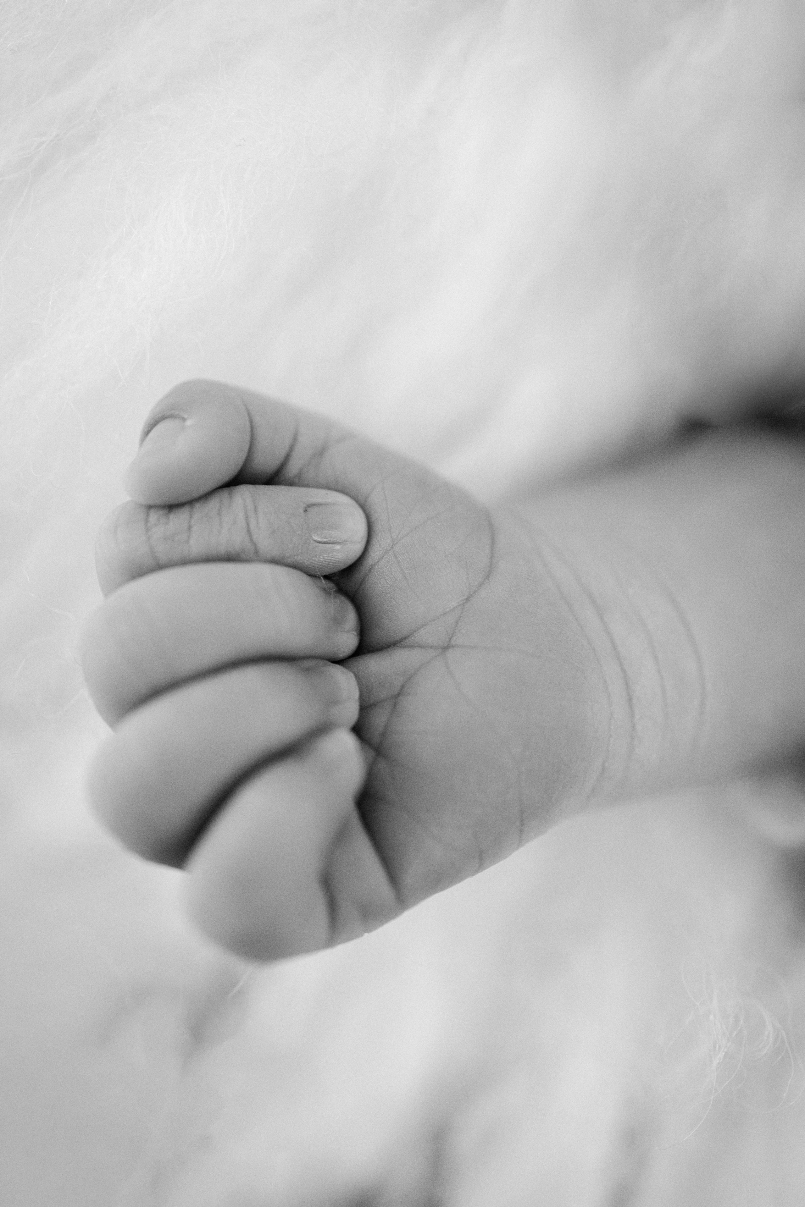 Newborn. Anaeliseevaphoto.com