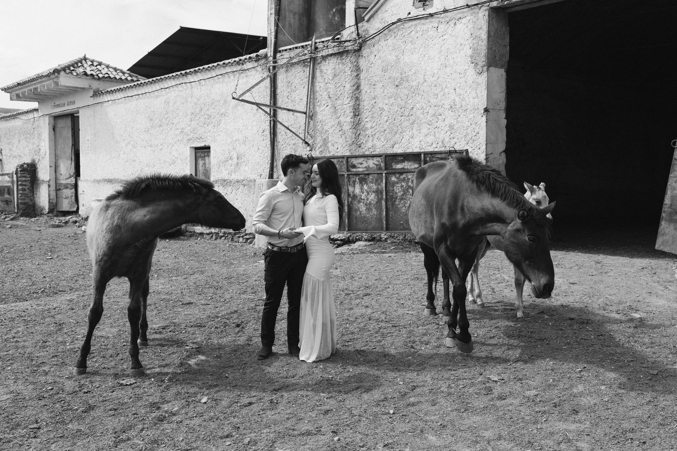 PREBODA EN UNA GANADERÍA DE TOROS. Fotógrafo y Videógrafo de bodas y eventos