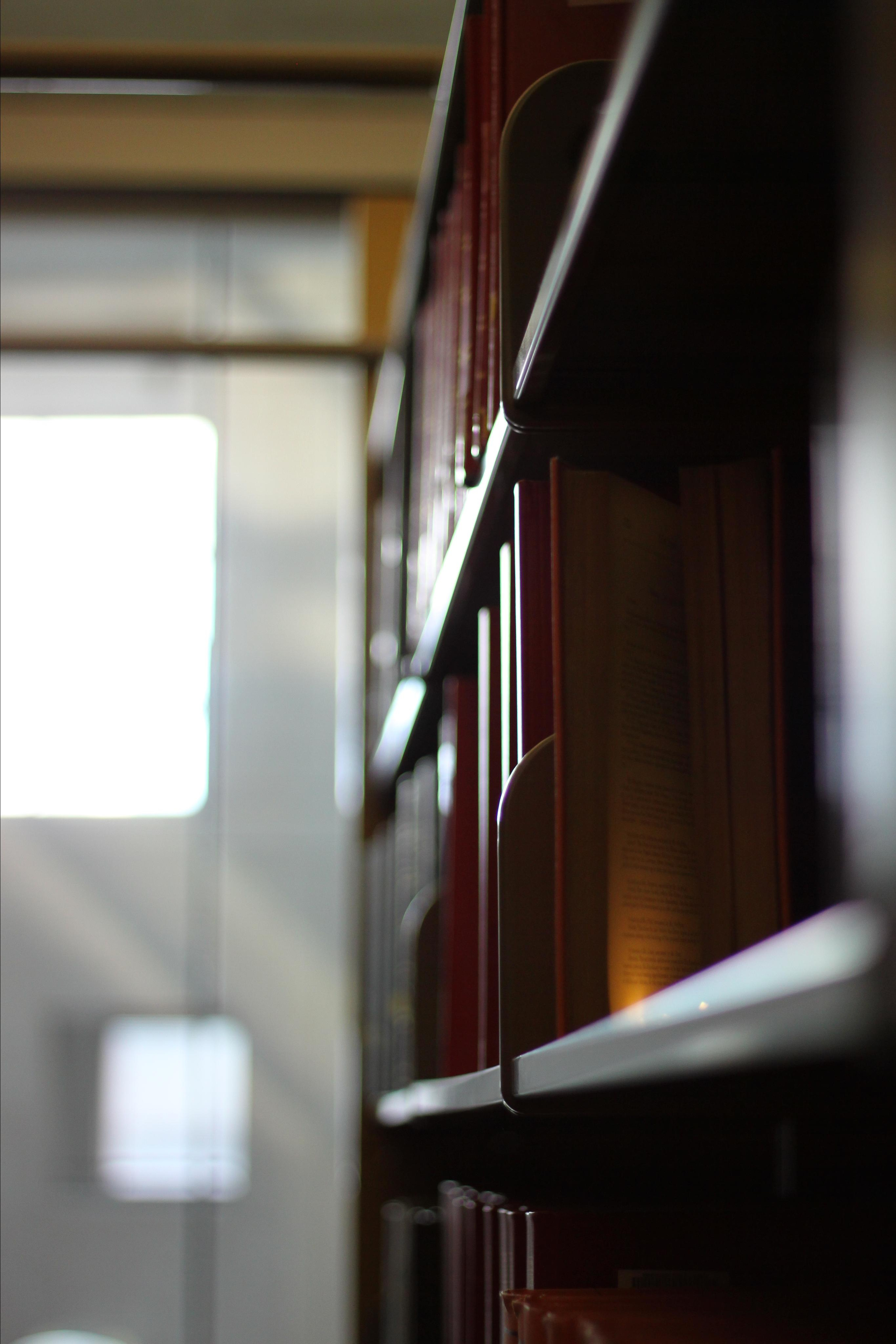 Fatima & Bookish Dreams. Yana Bobrova | Artistic Photography