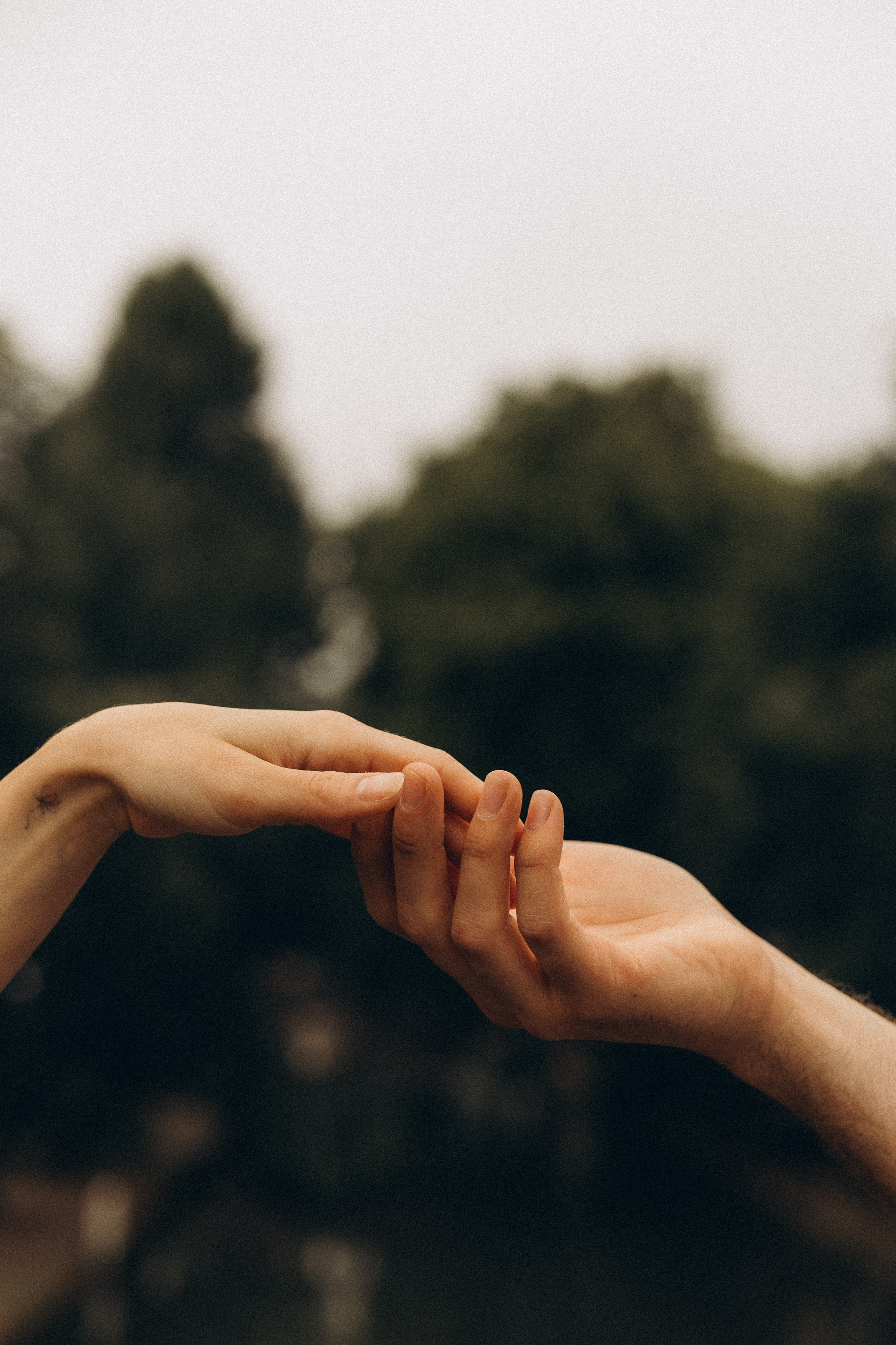 Love story. Photographer The Netherlands