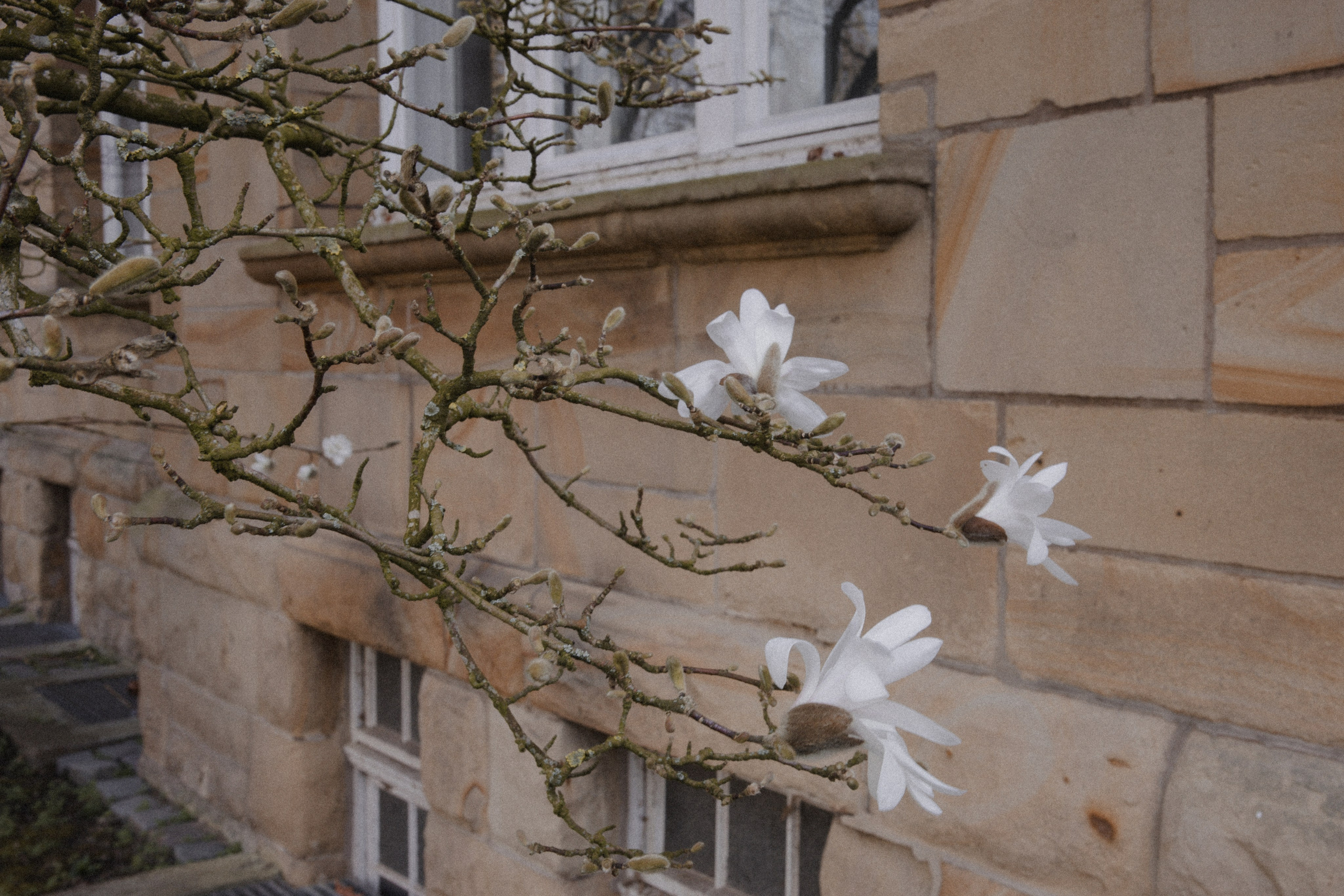 Morena & Niklas I Haus Hohenstein. Hochzeitsfotografin Bochum | Halyna Reiche Fotografie NRW