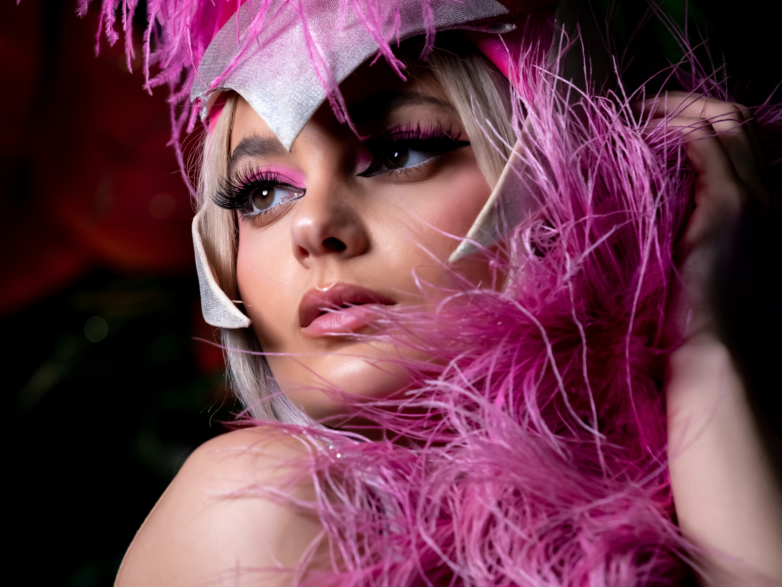 Enchanted. Sam Jobi Media