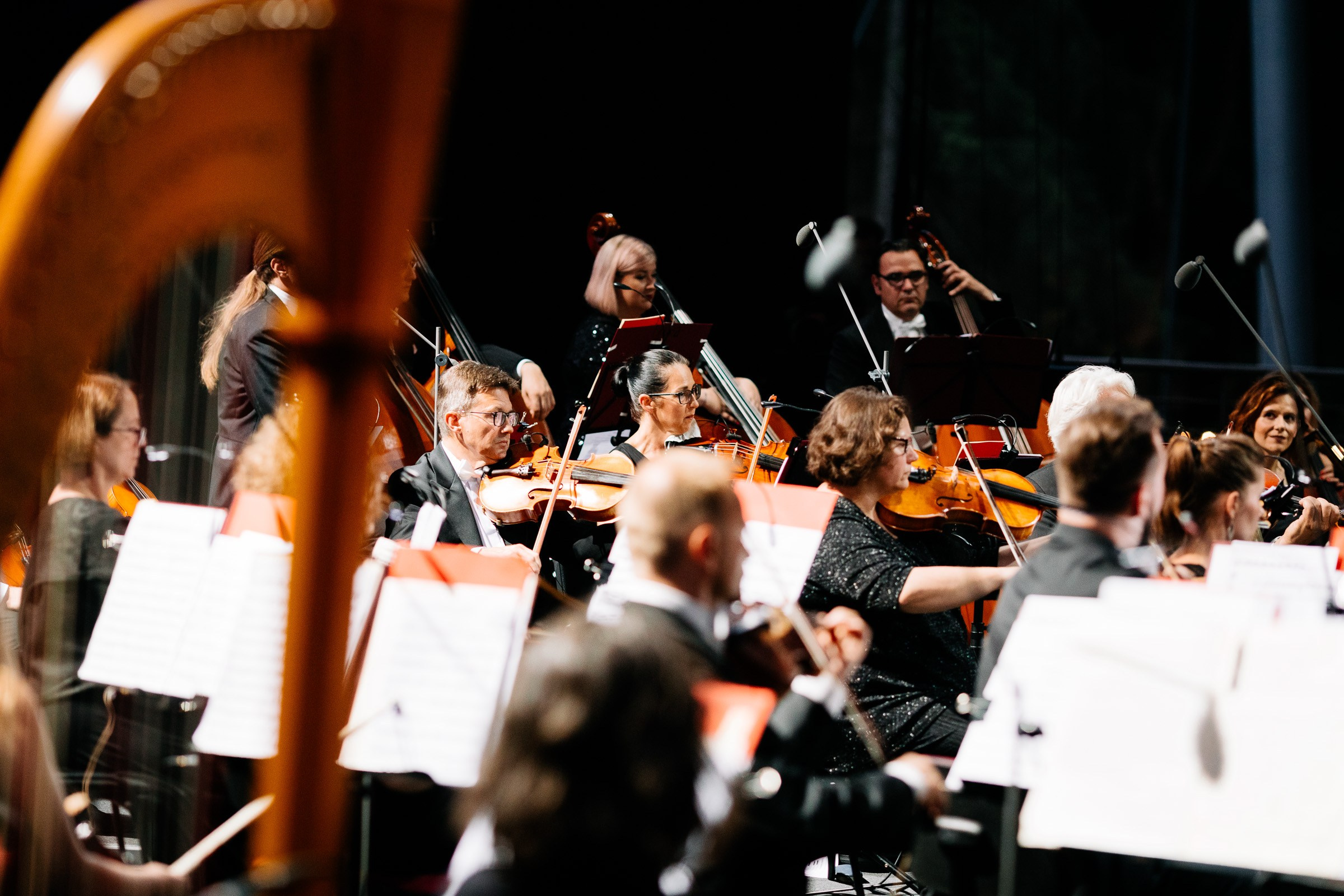 Opera Leśna Koncert. Fotograf Ślubny Warszawa - Sesje Biznesowe Rodzinne Eventy