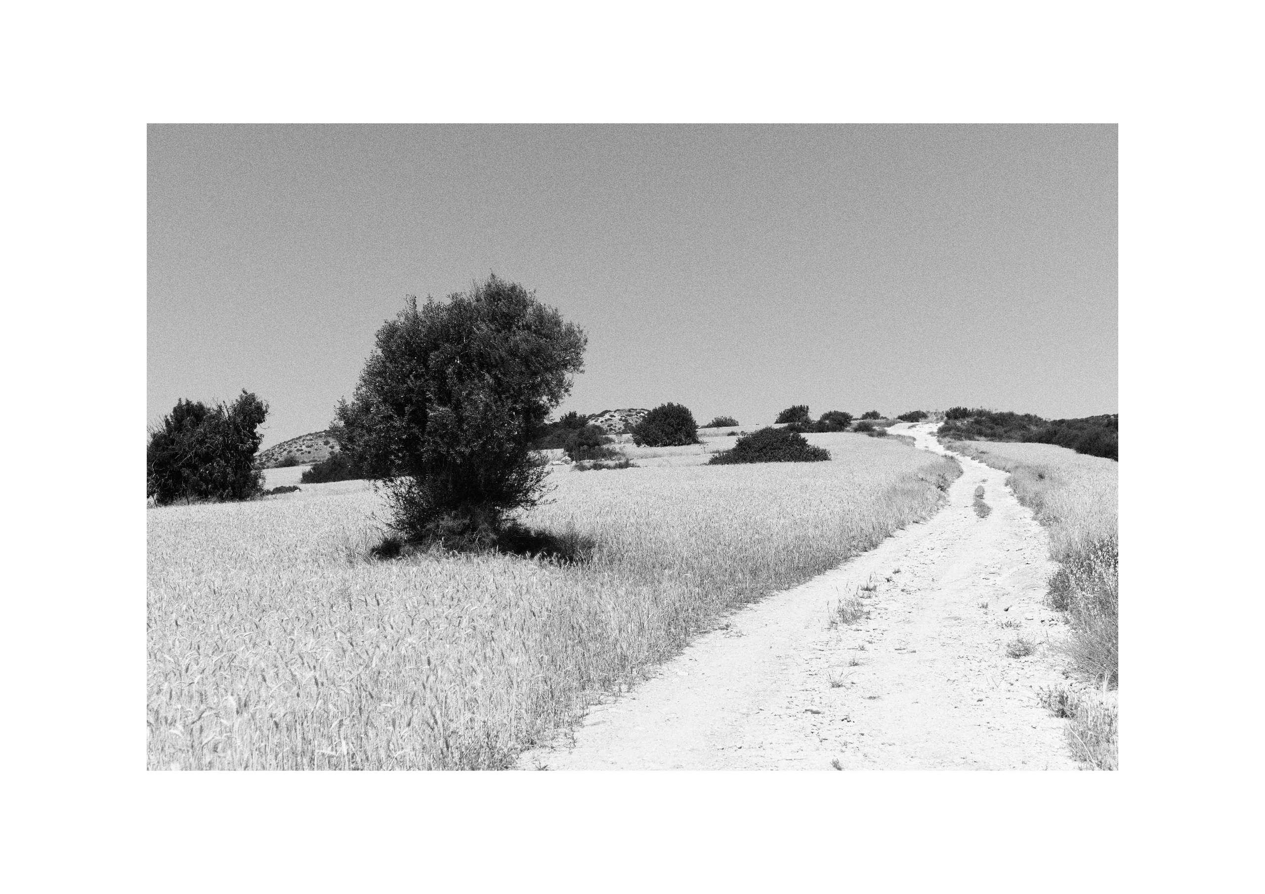 B&W. Cinema that you’ll never see