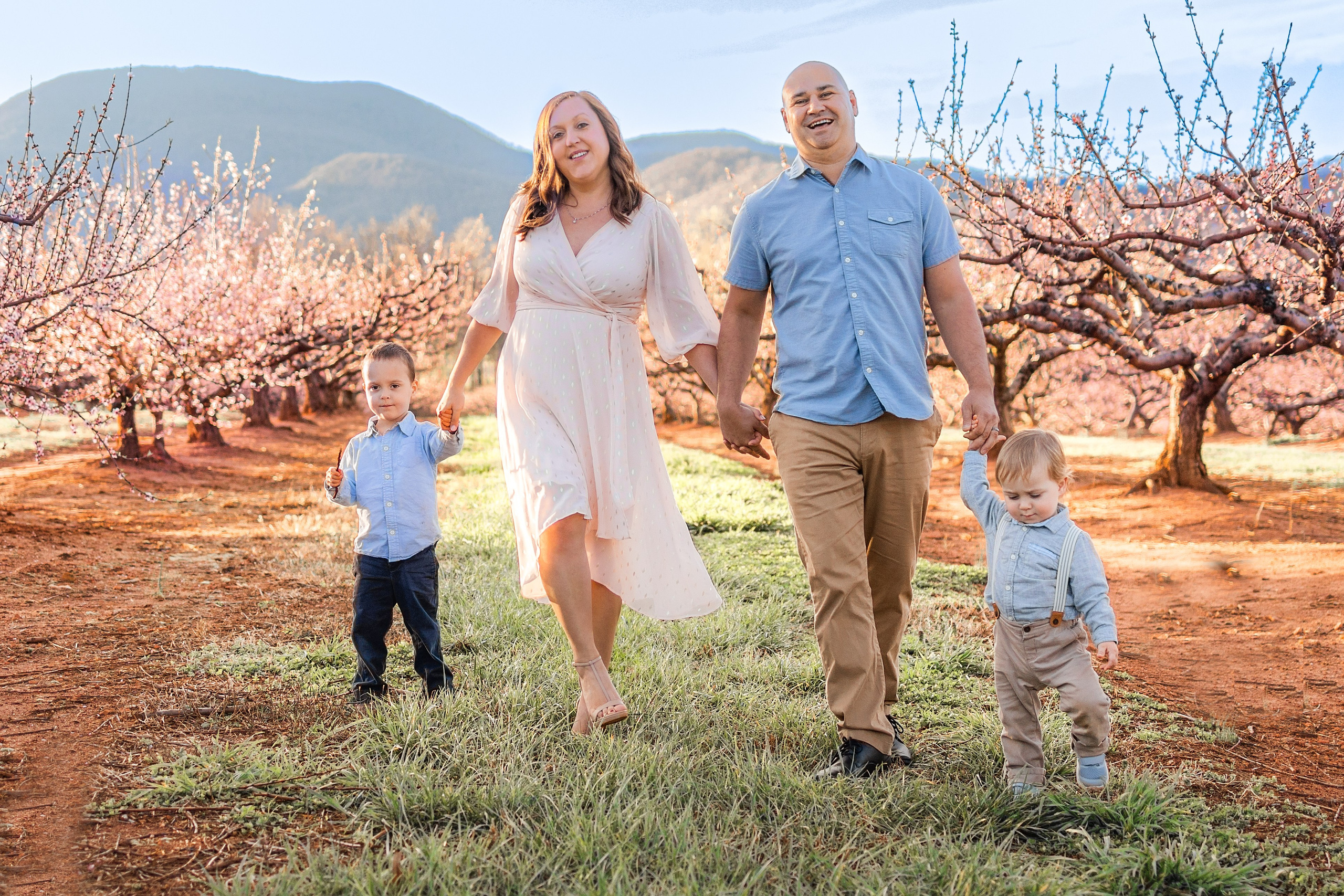 Most anticipated peach blossom in South Carolina. Wedding and portrait photography in Greenville SC
