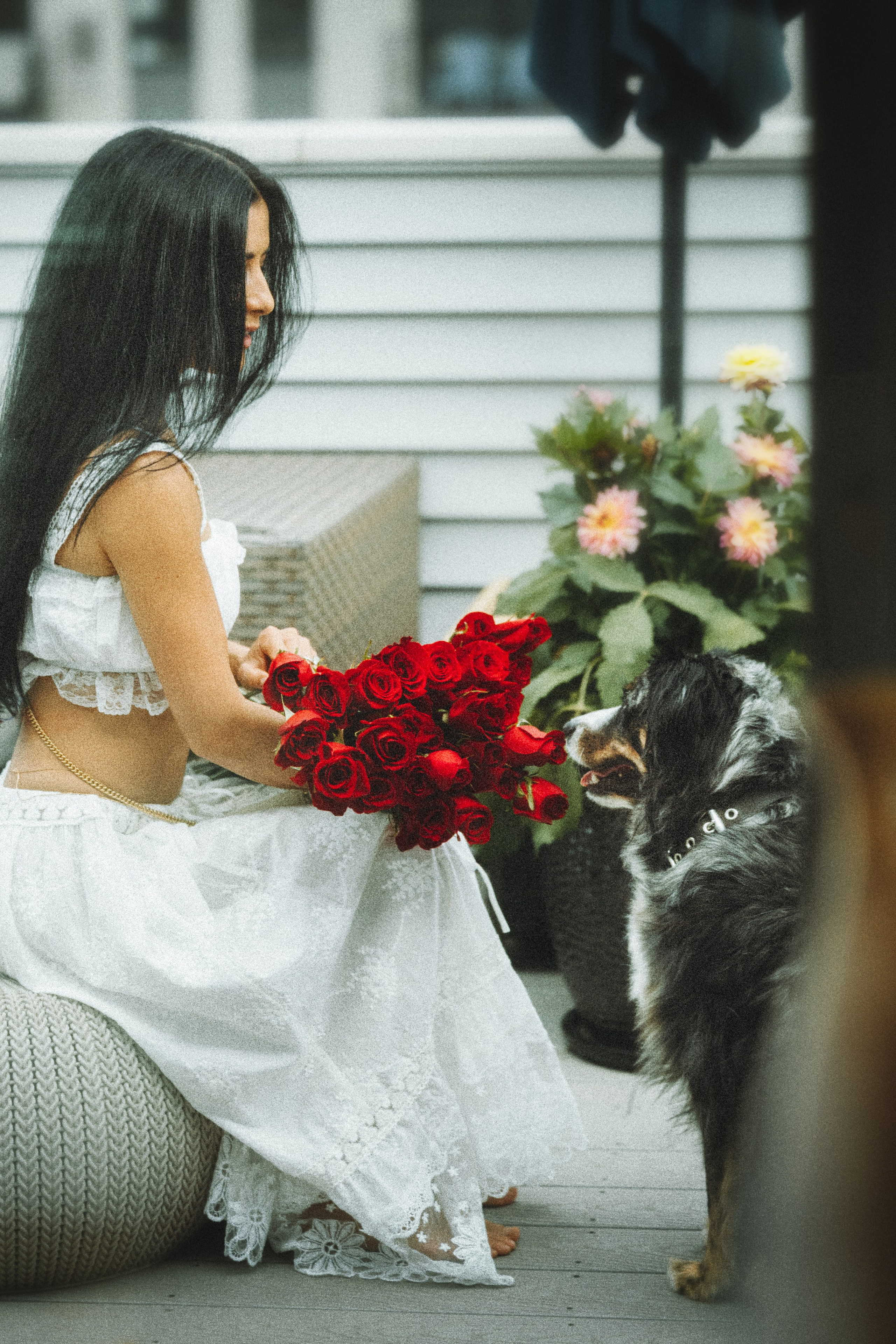 Aspen & Viktoriya. Pet Photographer Viktoriya Aleshenko