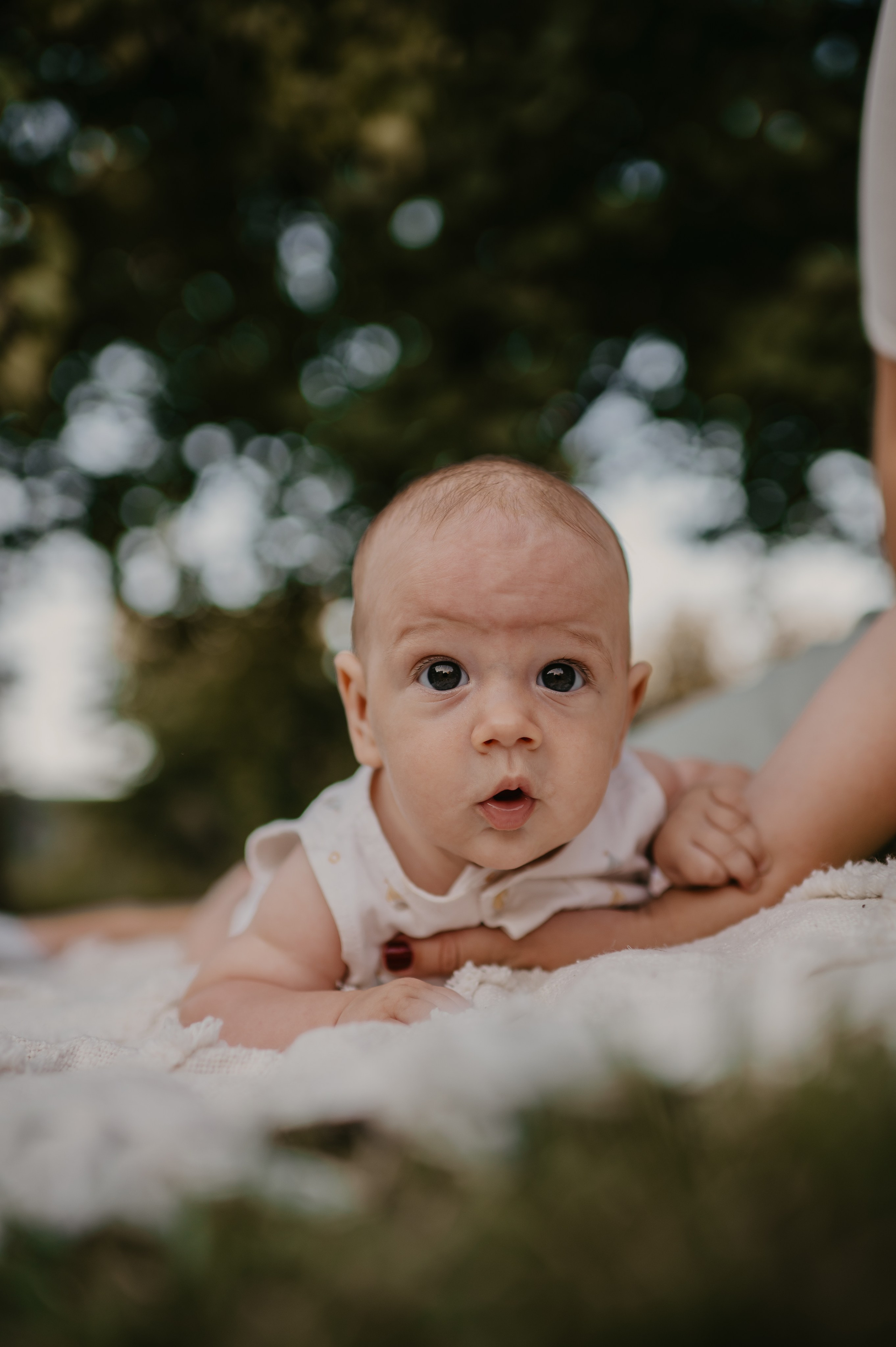 Živkovići. Ana Sladojevic