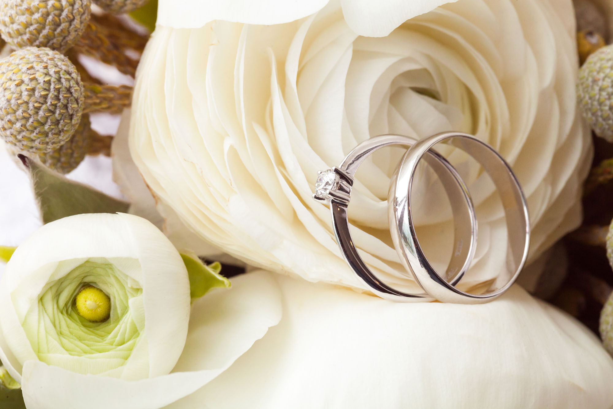 STANISLAV & YEVGENIA. Worldwide photographer VOINOV