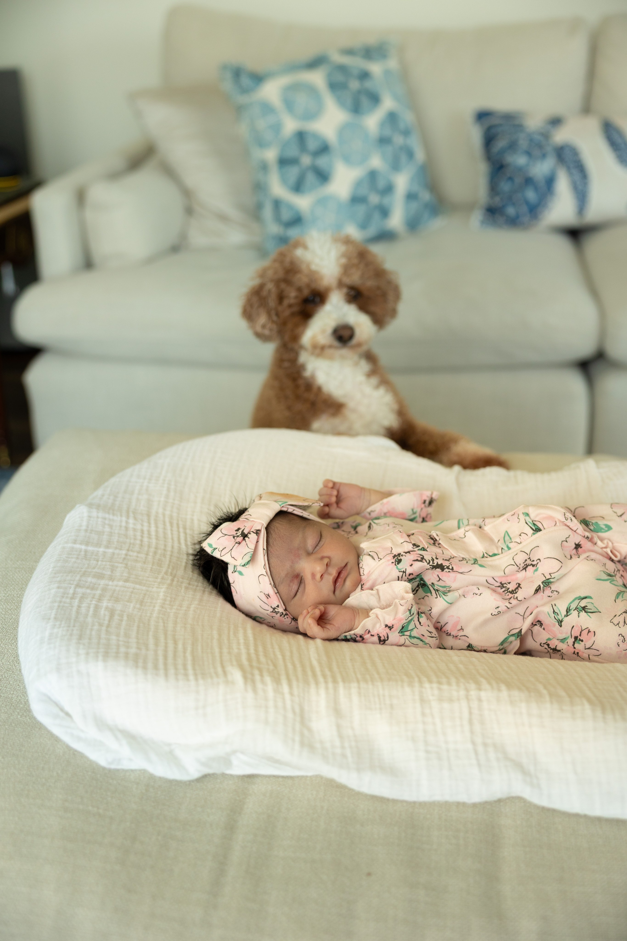 In Your Arms. Family, lifestyle, and commercial photography in New York and New Jersey