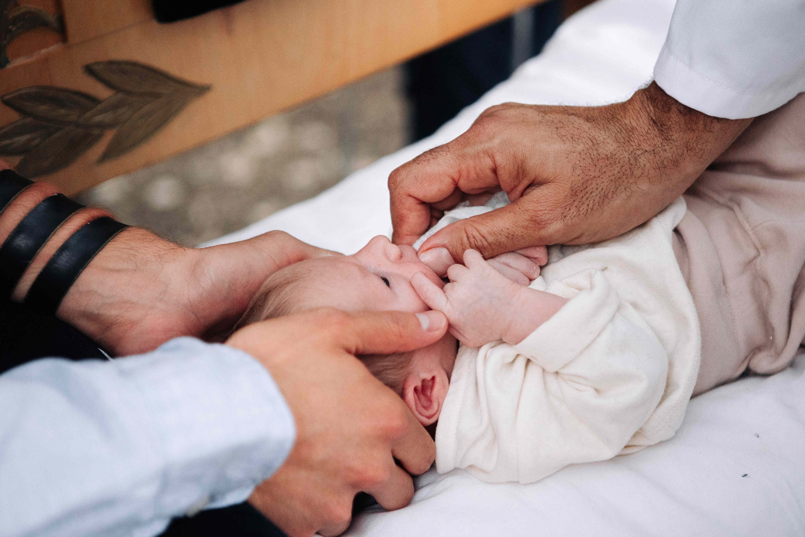 BRIT MILA IN NATURE IN JERUSALEM. Https://shi-photo.com/