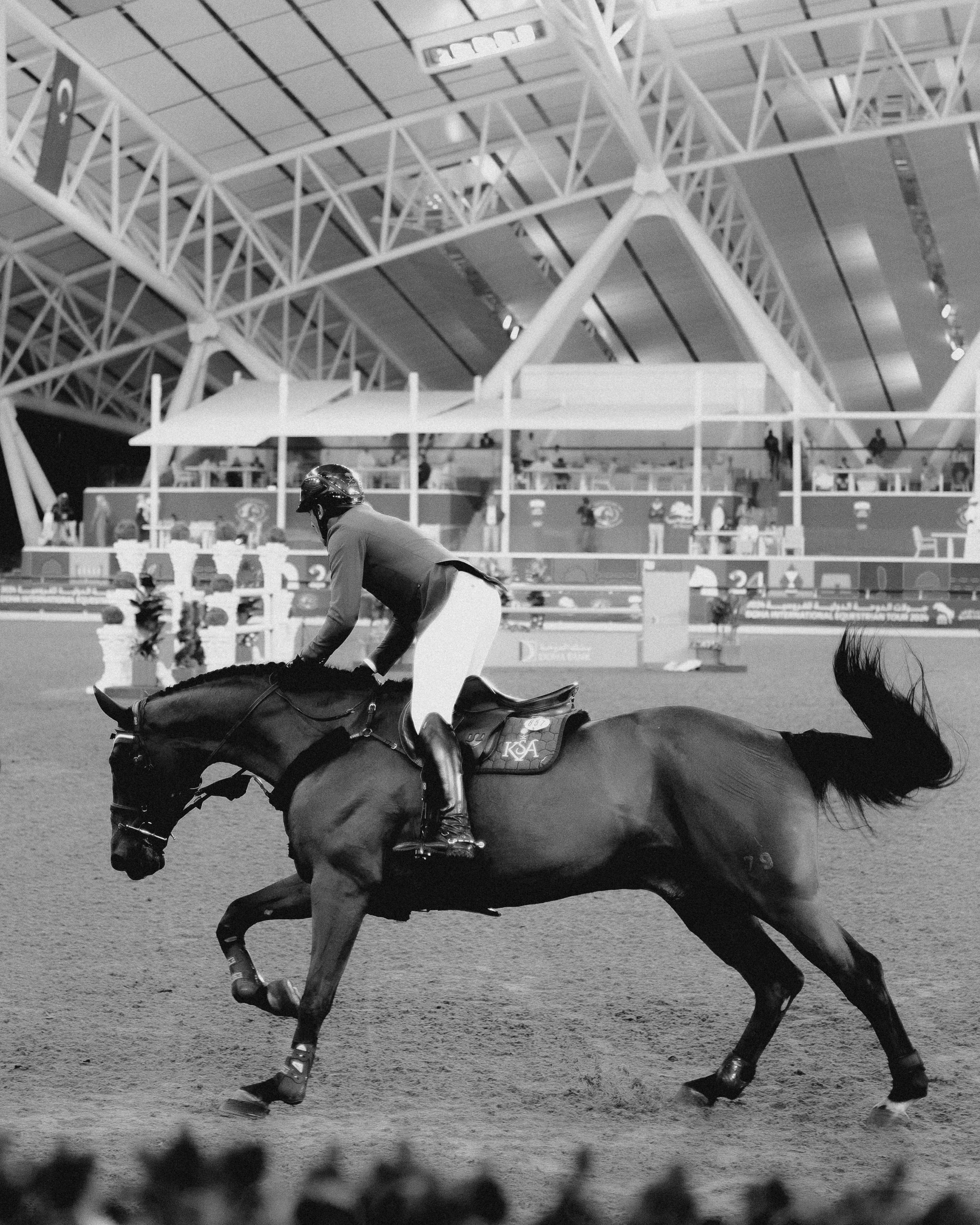 Doha Tour 2024 🐎. Regina Turbin — official website