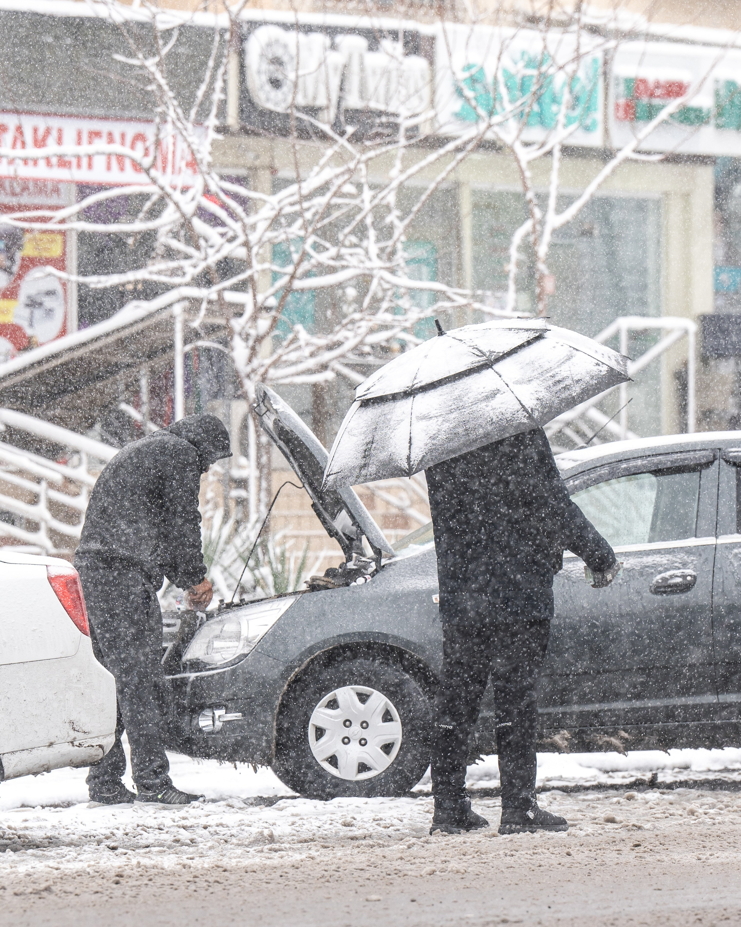 Снег. Георгий Намазов | Фотограф в Ташкенте