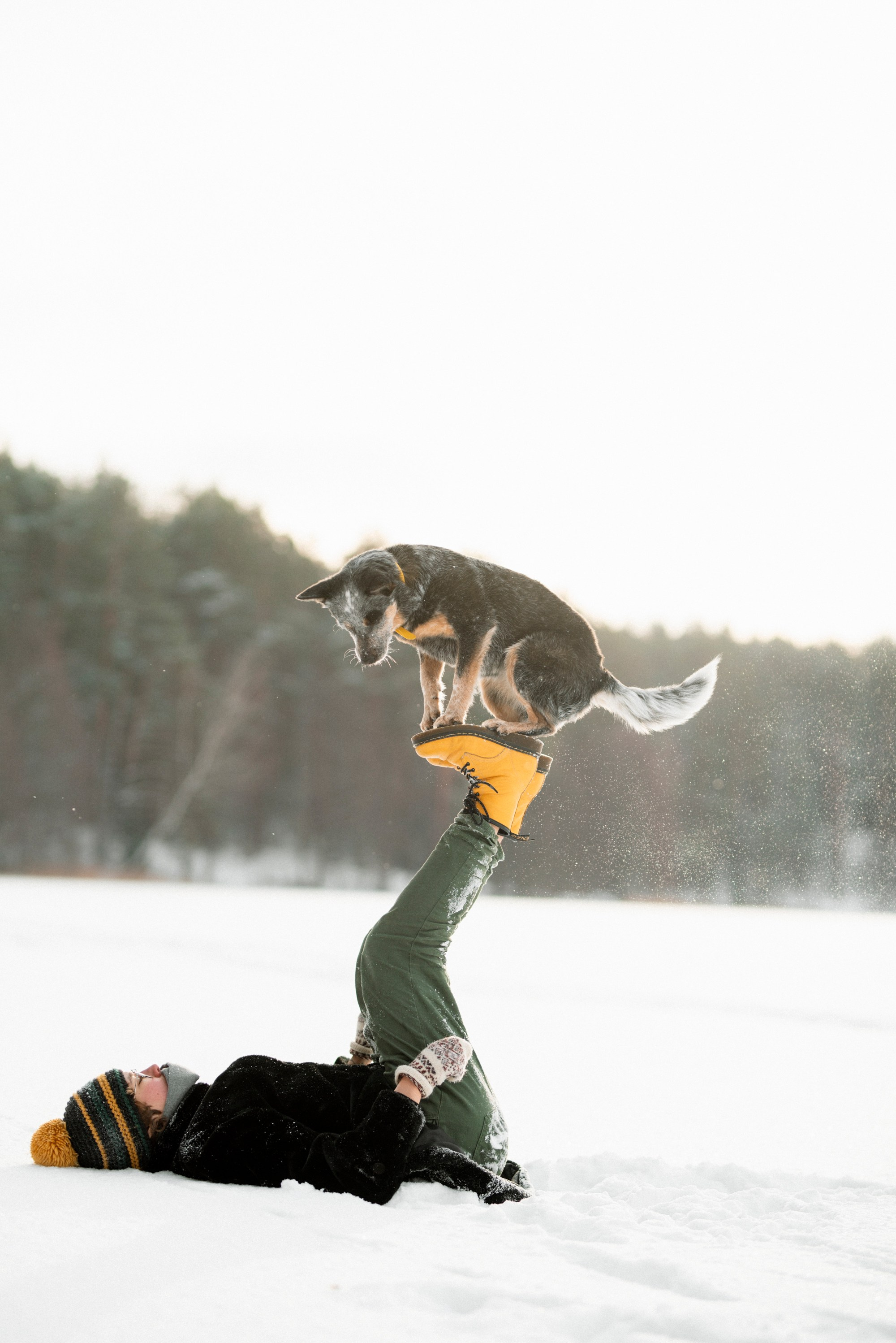 Šeimininkės ir jos šuns fotosesija žiemą ant užšąlusio ežero. Vita Klimaševska ○ Fluffy Soulmate Photography