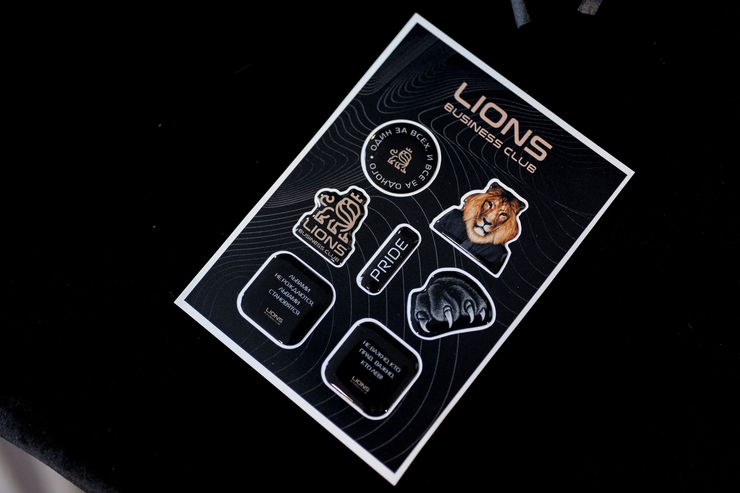 Lions DAY. Свадебный фотограф Каледич Тимофей