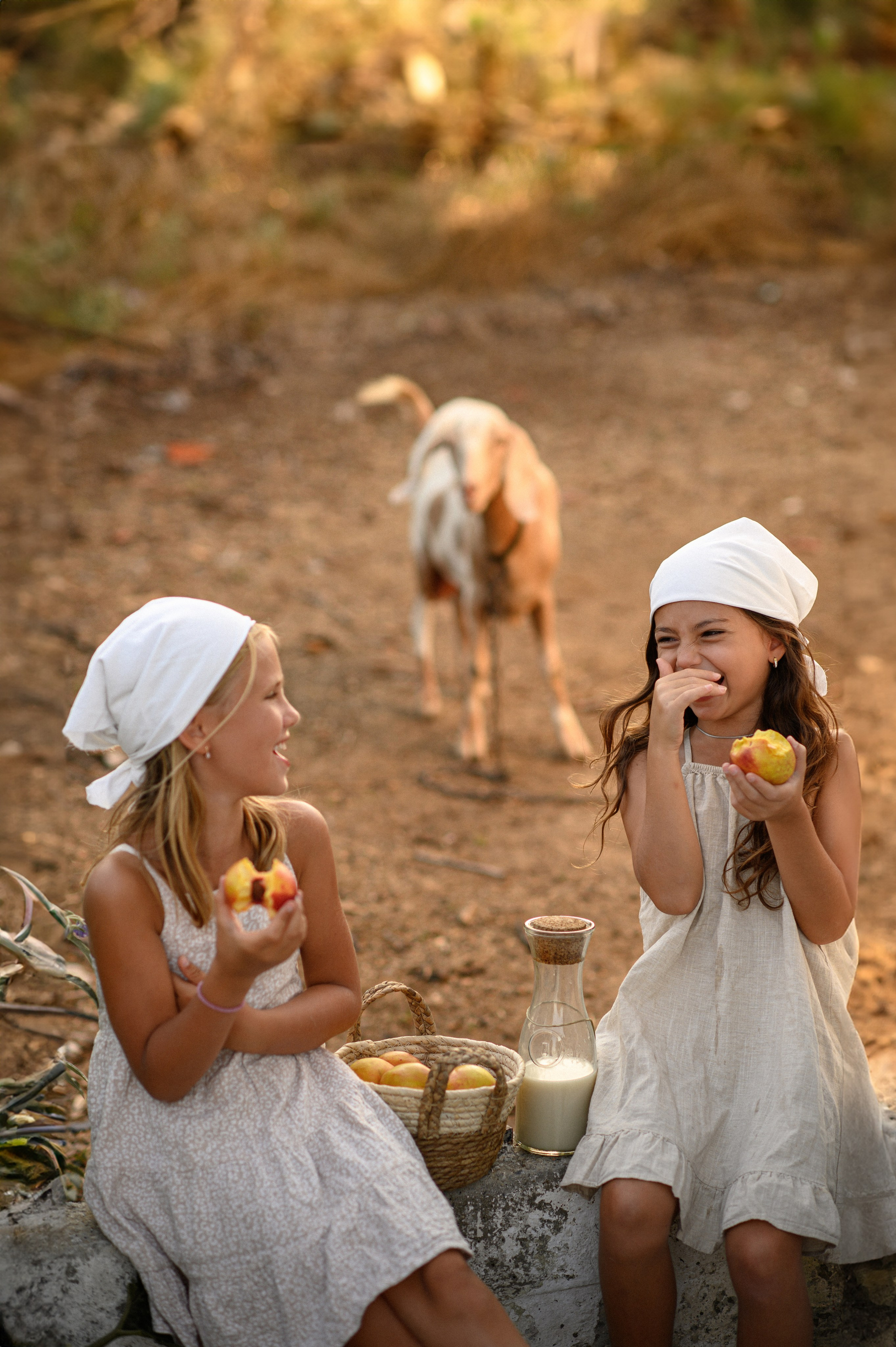 Goat. Family, children, portrait, and event photography in Thessaloniki