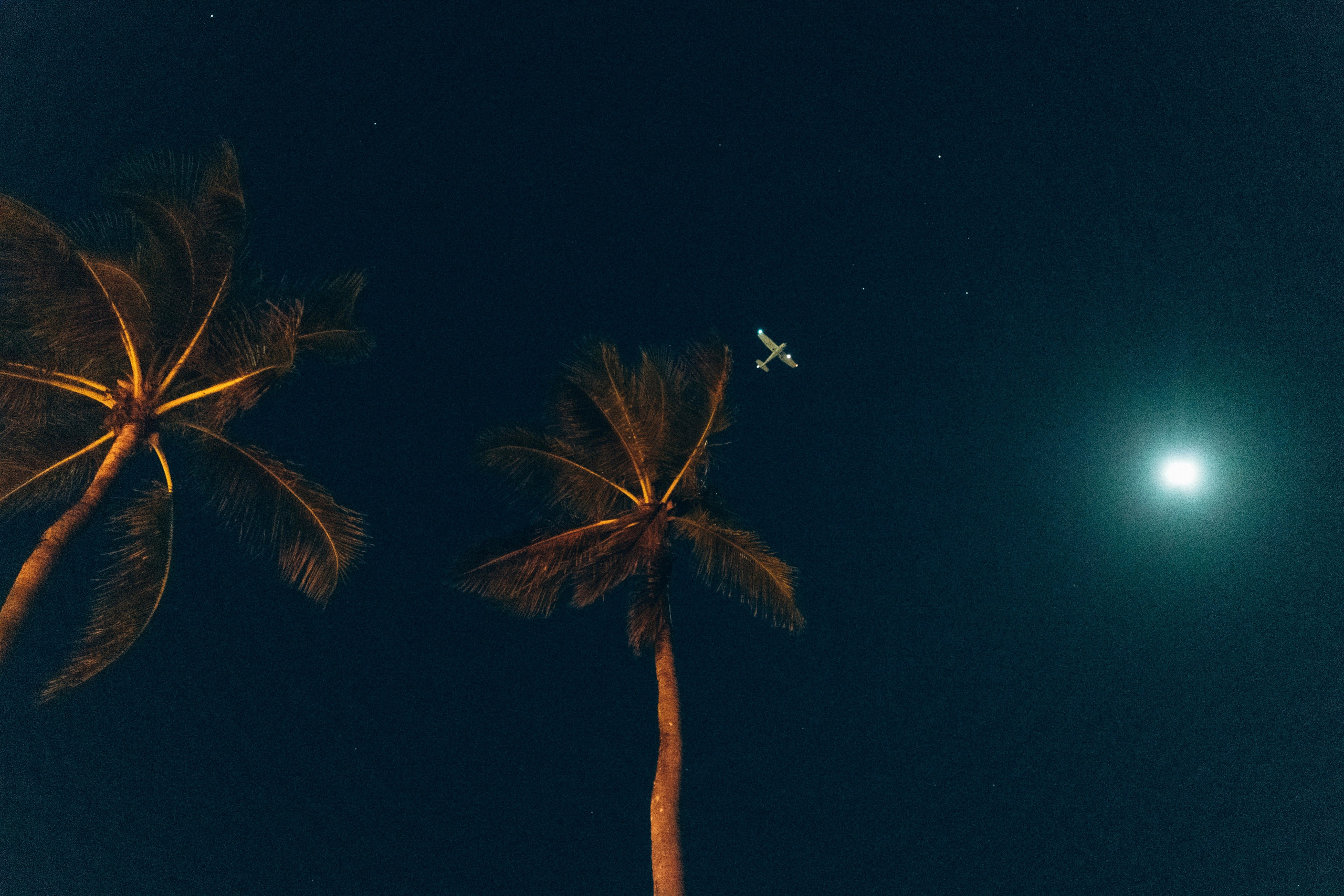 STREET. TETIANA UDOVYCHENKO PORTRAIT PHOTOGRAPHER