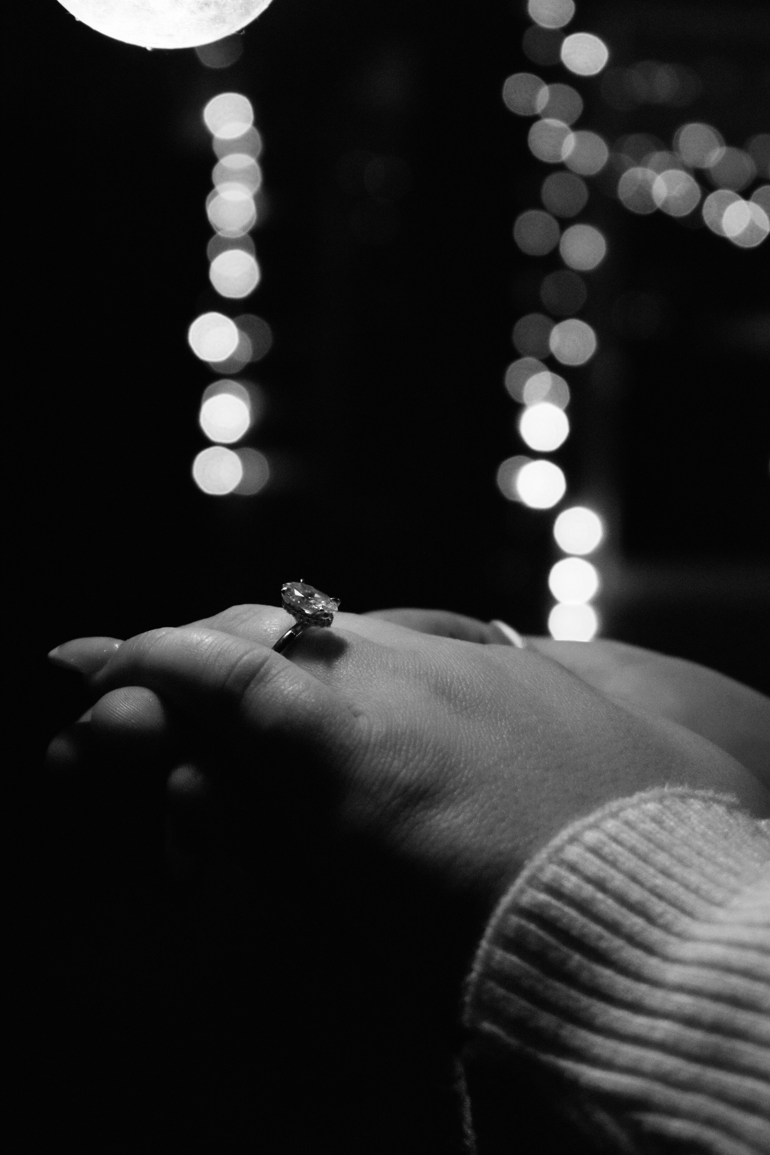 Sydney & Rio — Engagement Photoshoot. Main