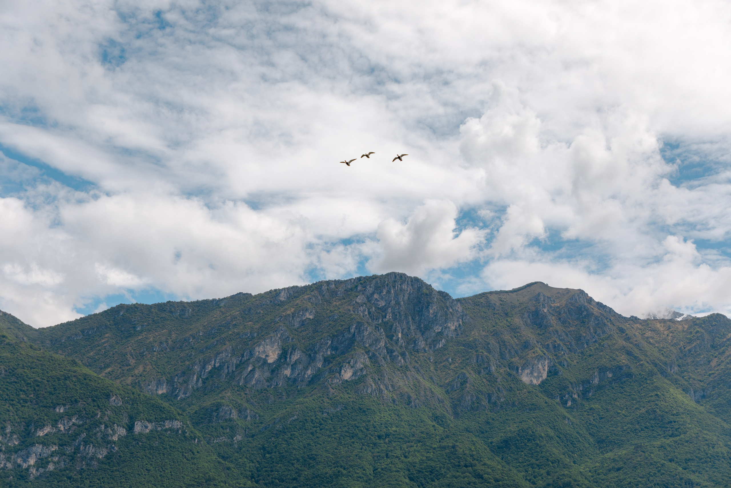 A & R Como, Italy. Свадебный фотограф в Нидерландах и Европе — Тина Ялóва