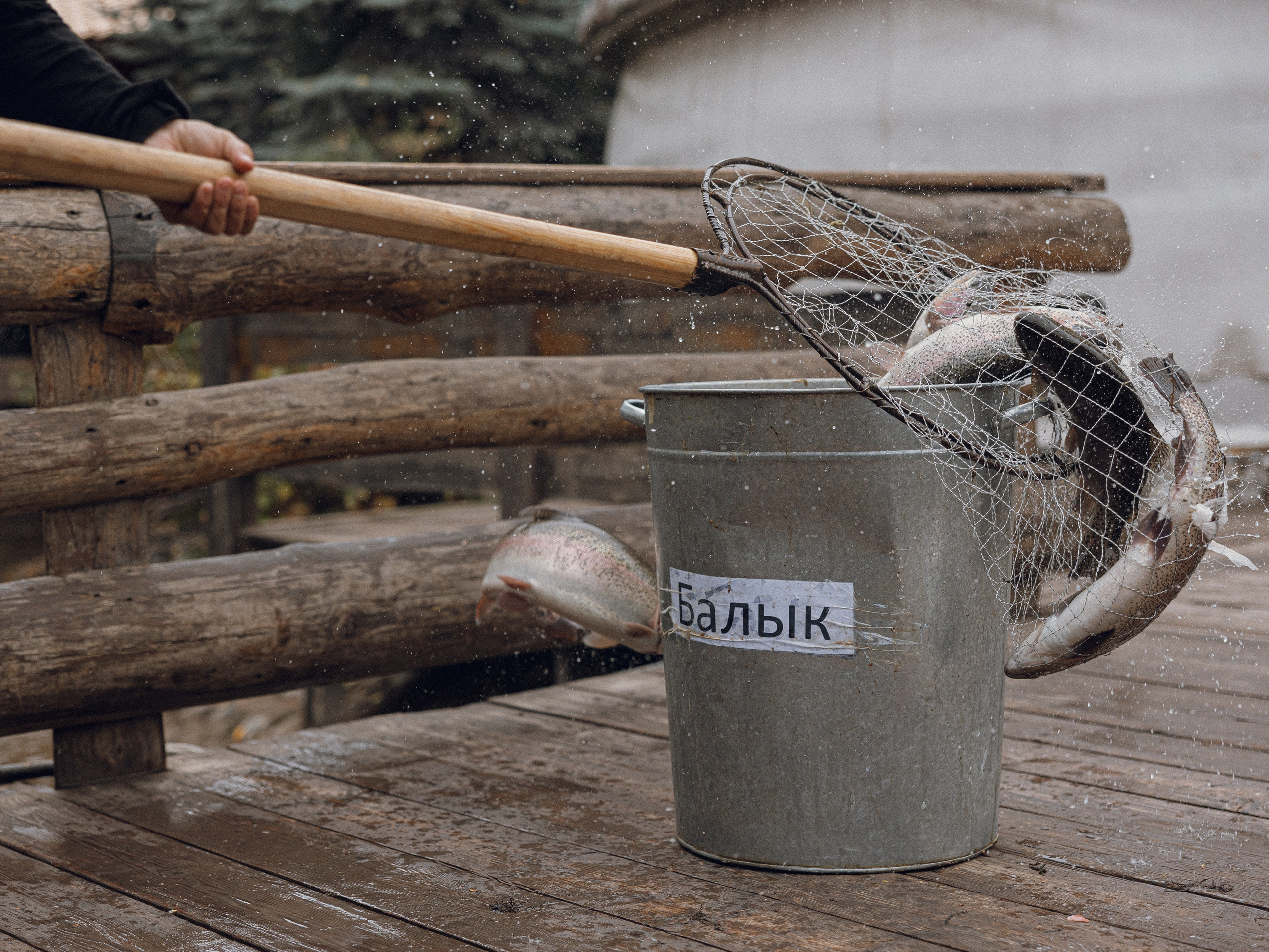 Репортаж Супара. Азимжан Нуритдинходжаев — свадебный фотограф