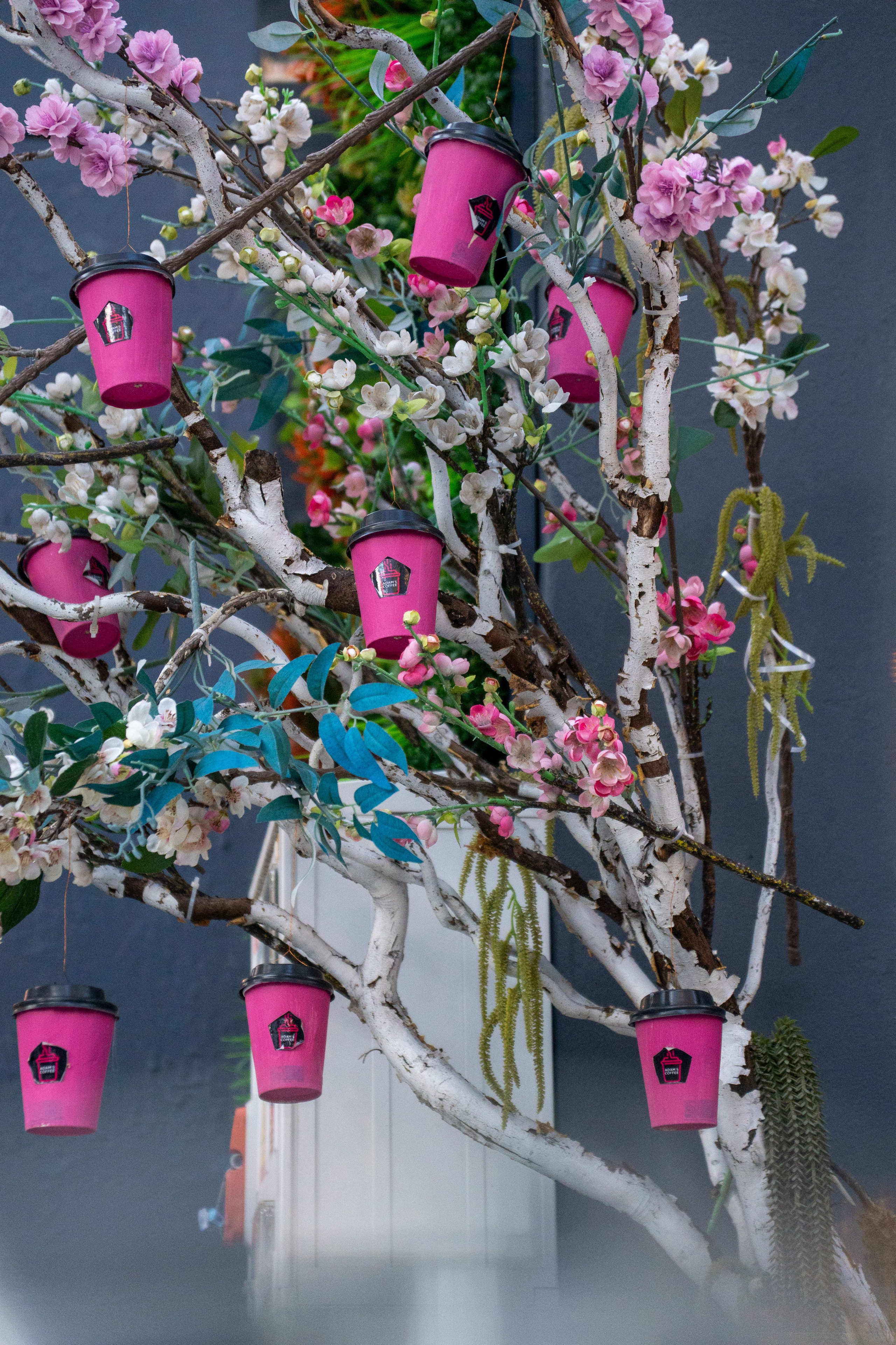 Adam’s. Creste si calatoreste