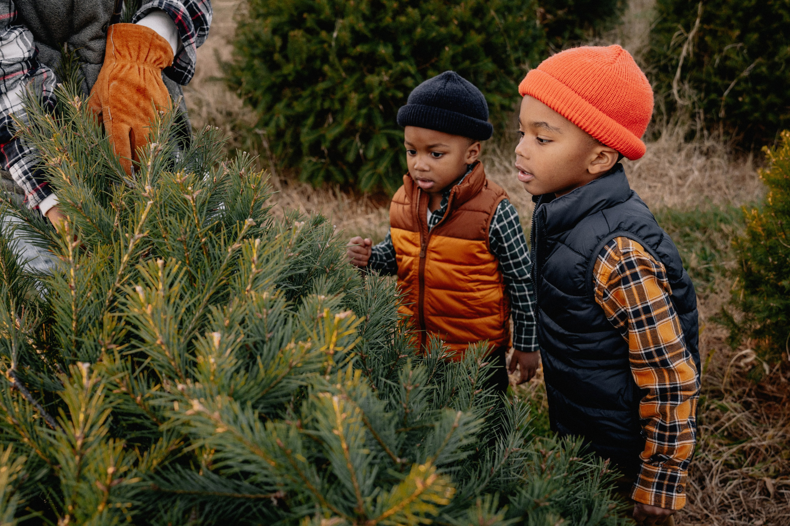 Kristen and family christmas farm. Wedding and family photographer and videographer PA, NJ, NY, DE, MD