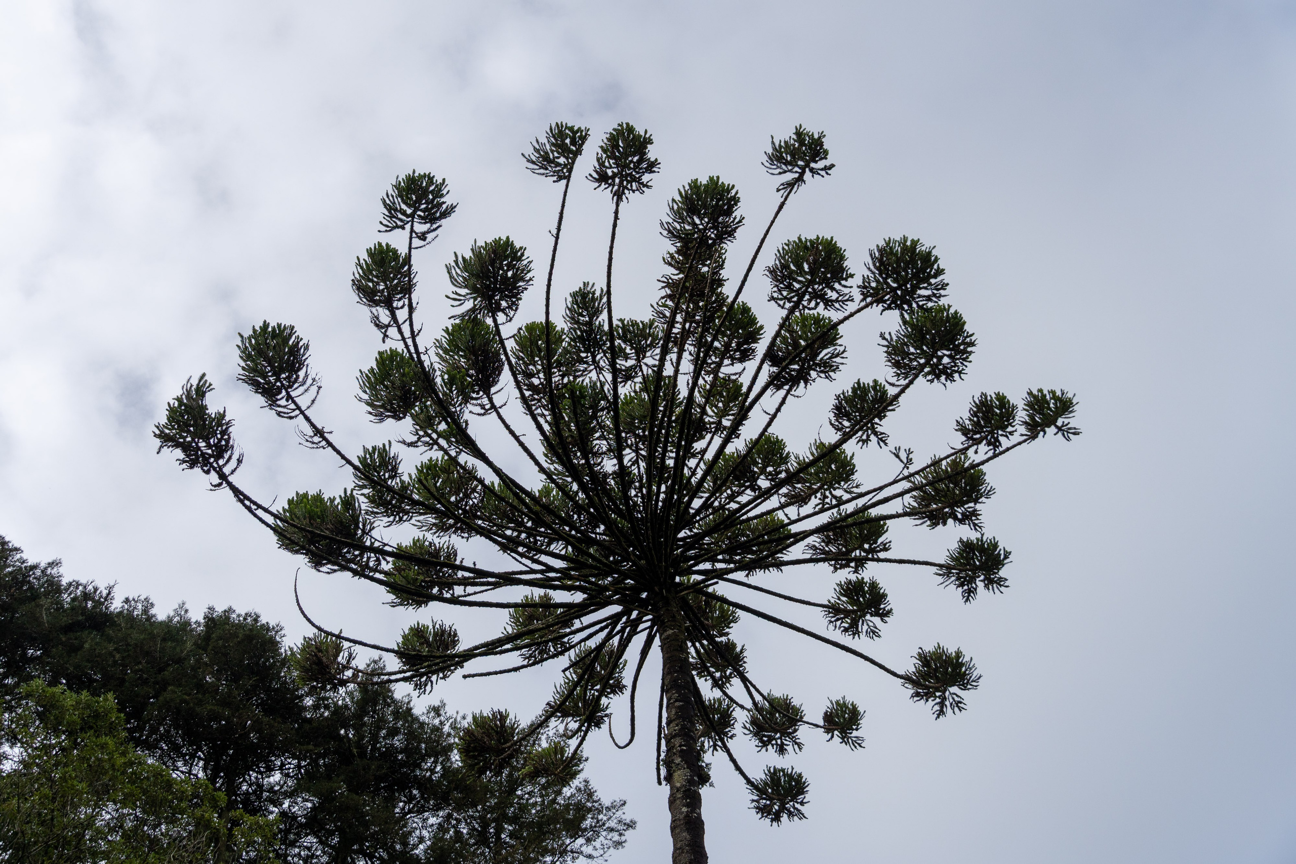 Lisabona 2025. Fotografiideplacere.net