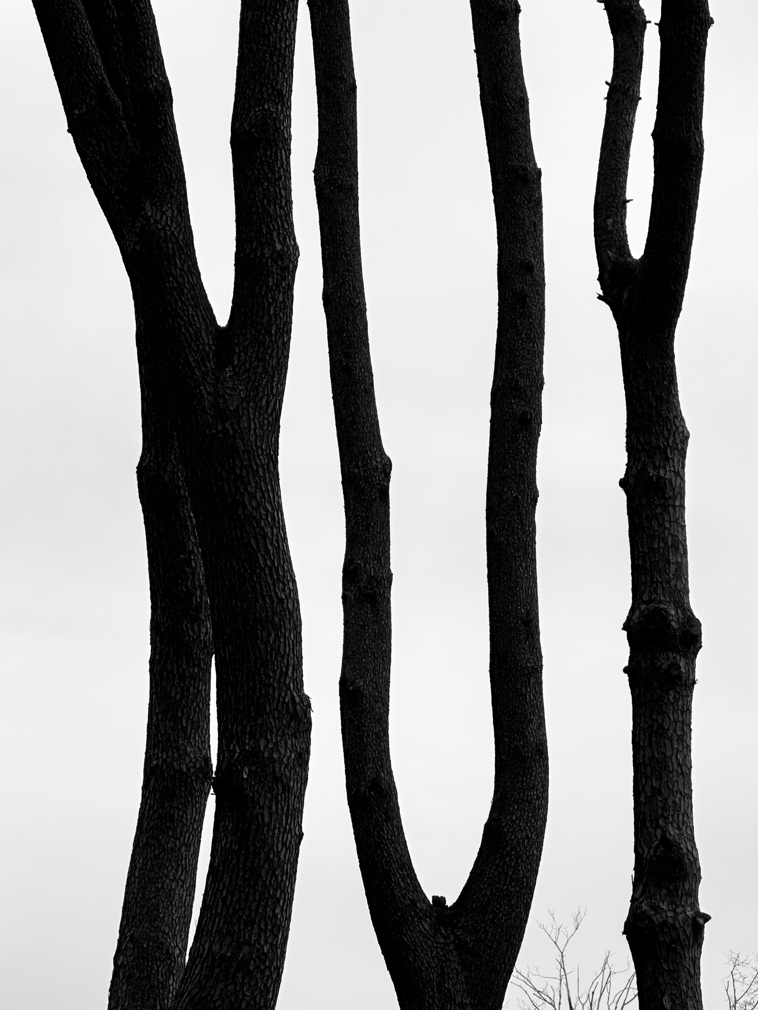 Street photo. Ekaterina Verbitskaya. Photography