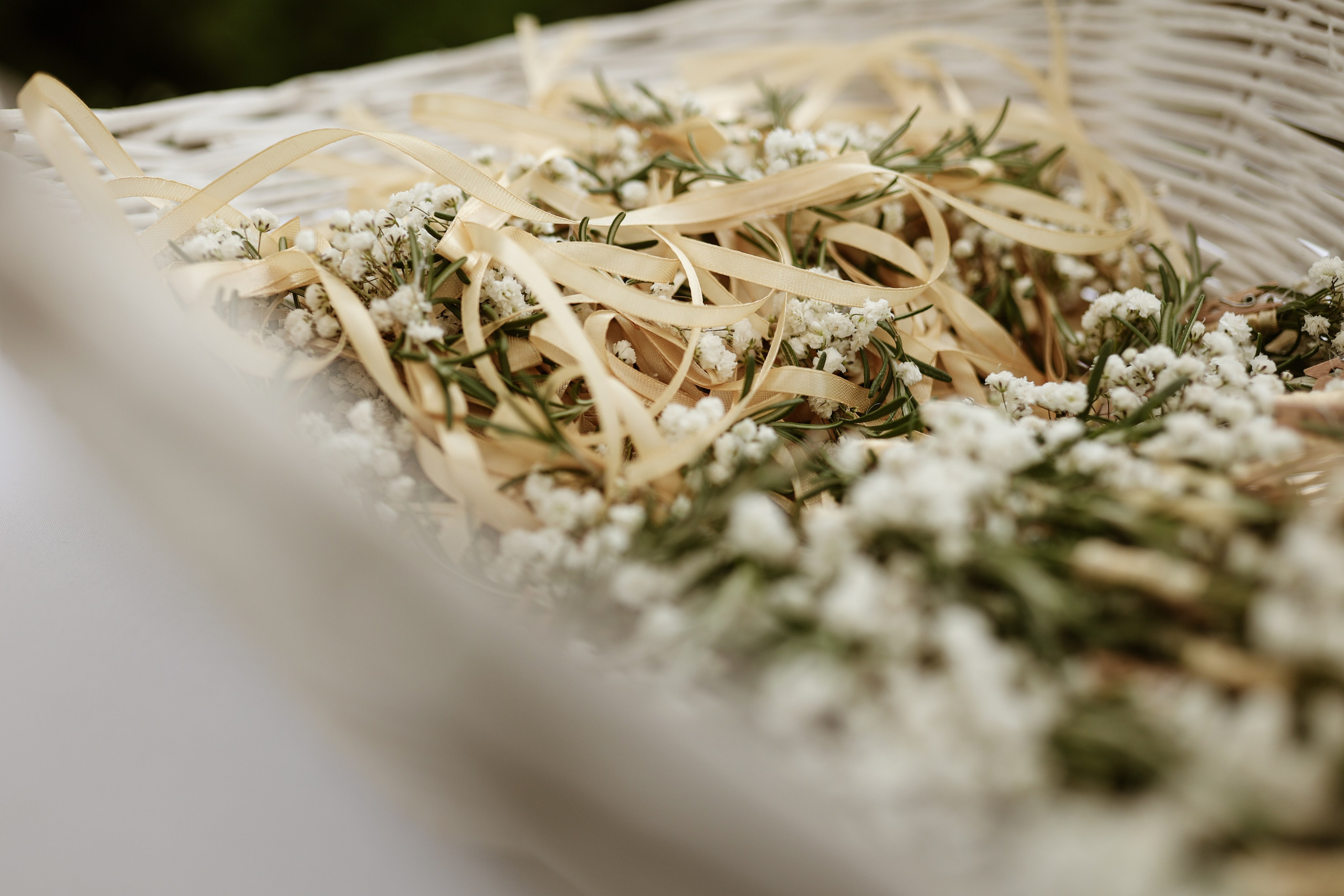 Wedding’s. Filić Aleksandar