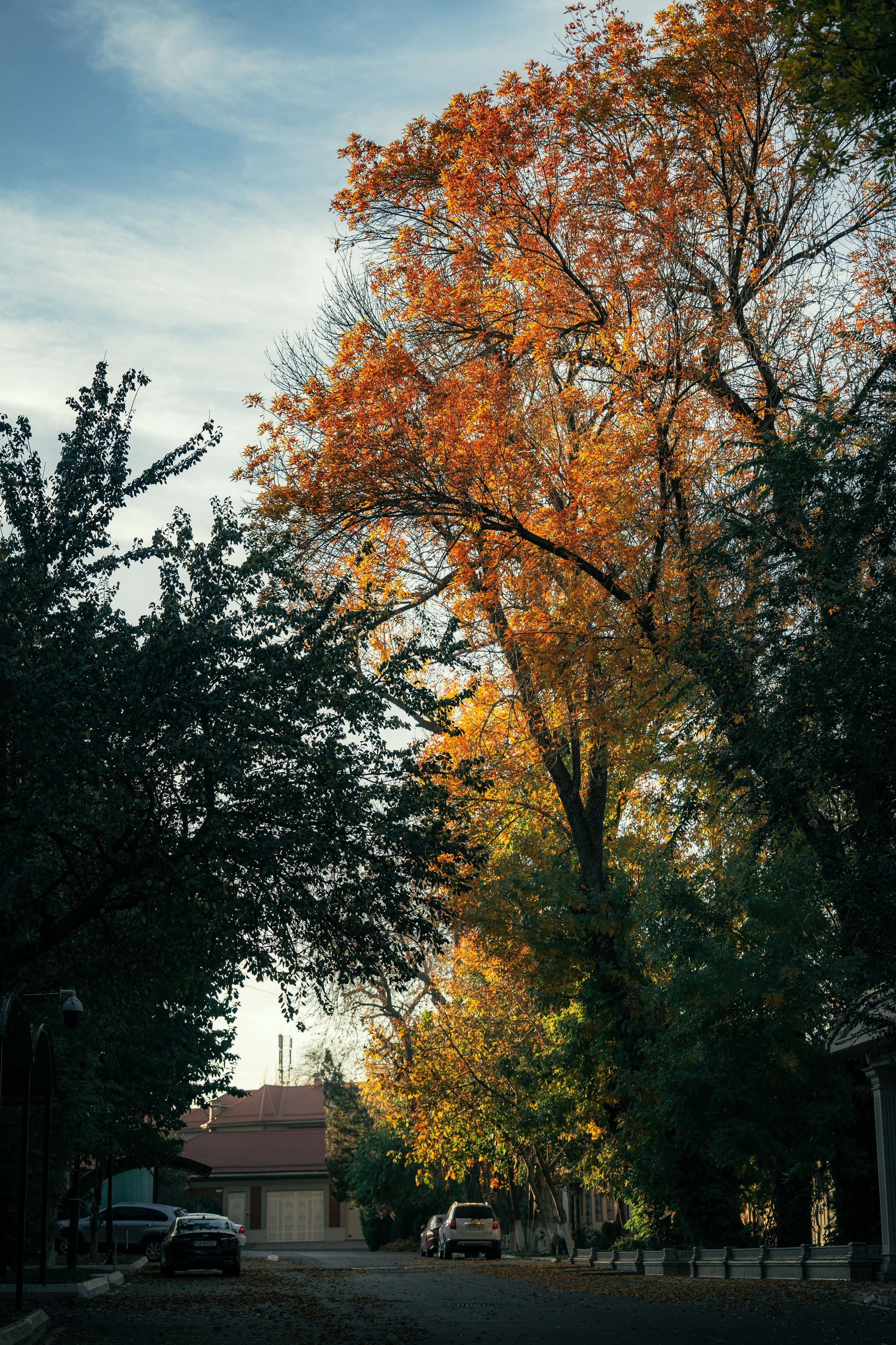 Стрит и Урбан. Георгий Намазов | Фотограф в Ташкенте