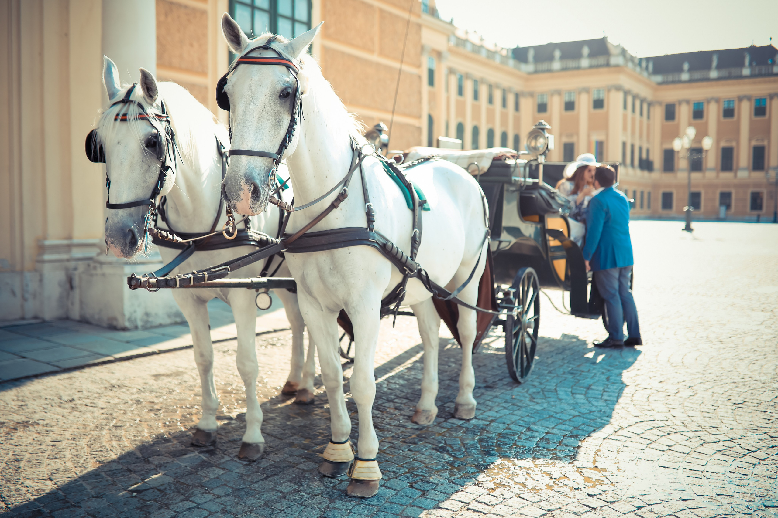 Diana & Benjamin. Wedding and events photographers Studio Shalom