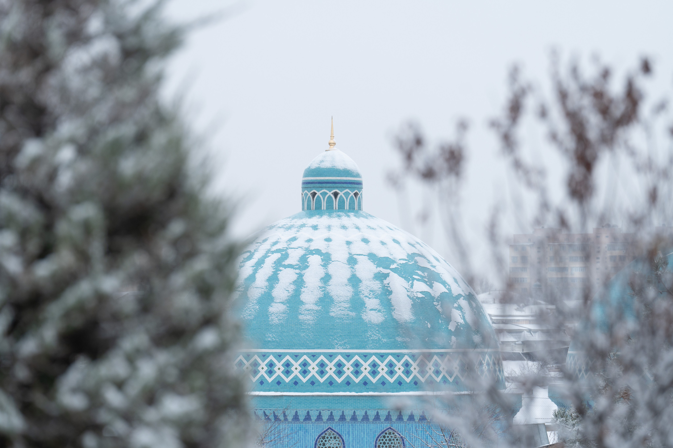 Первый снег в 2024 году. Георгий Намазов | Фотограф в Ташкенте
