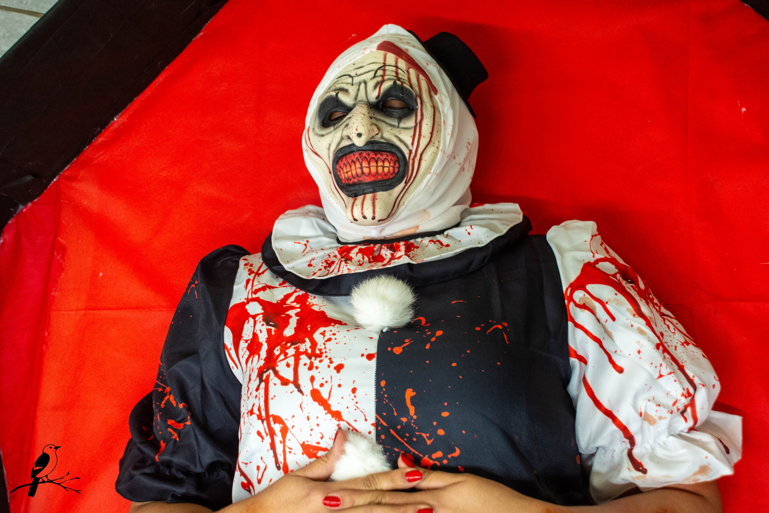 Festa Halloween. AerobirdStudios