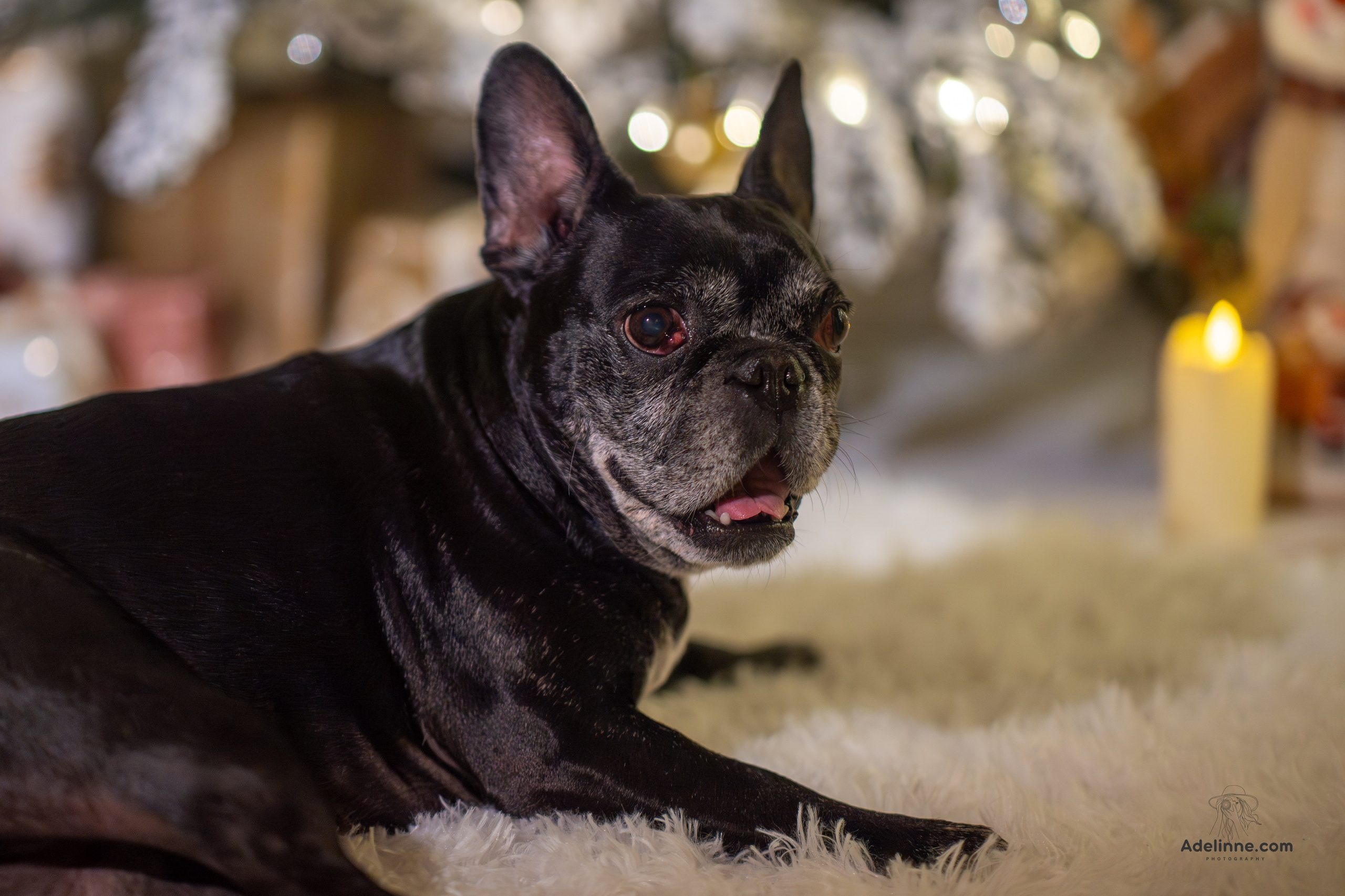 Album Cristina si Maia. Adelinne — fotograf profesionist în Constanța pentru familii, bebeluși și evenimente