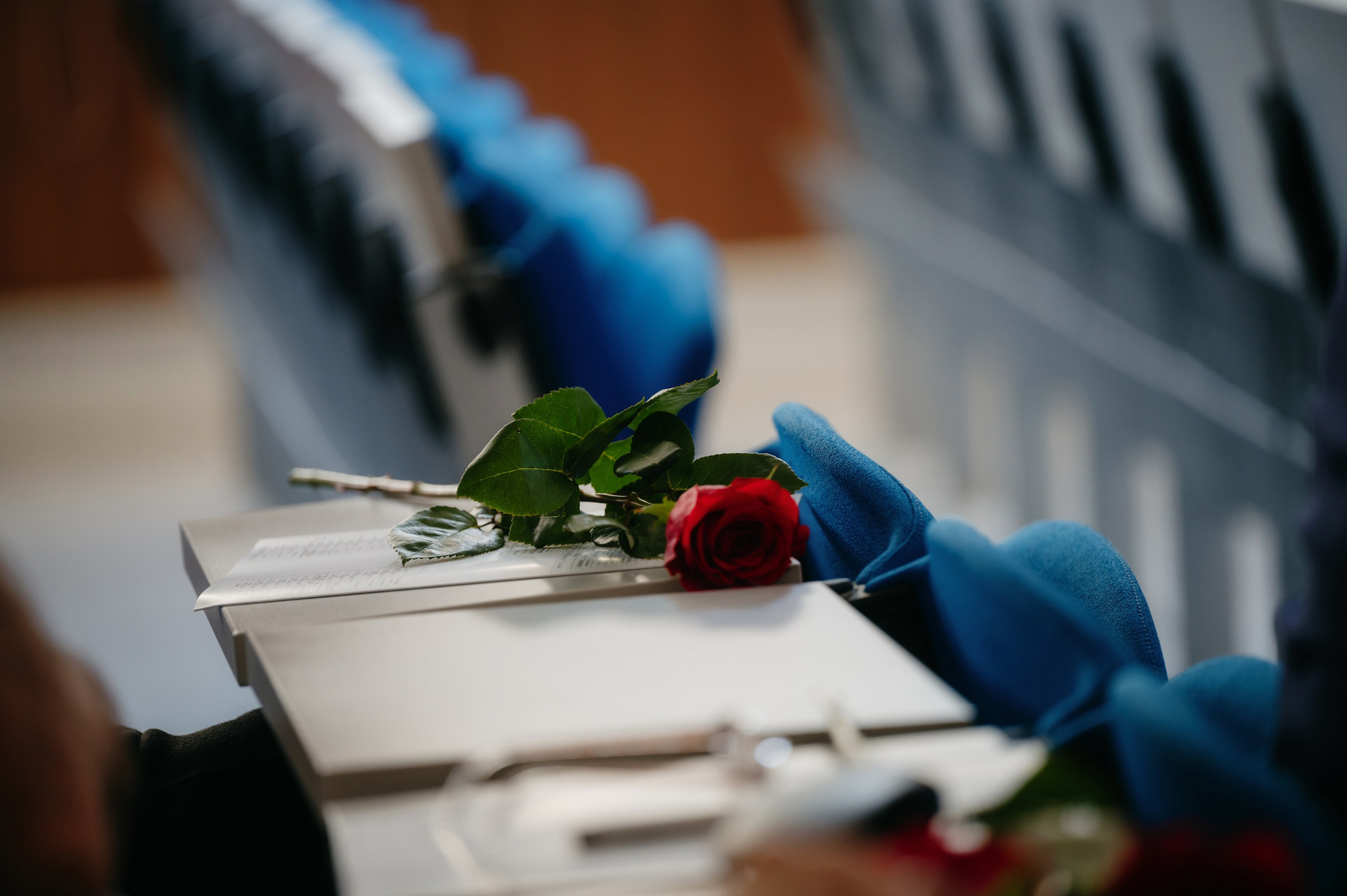 Medicina Veterinara — dupa 30 de ani…. Laurentiu Stefan StoryTeller