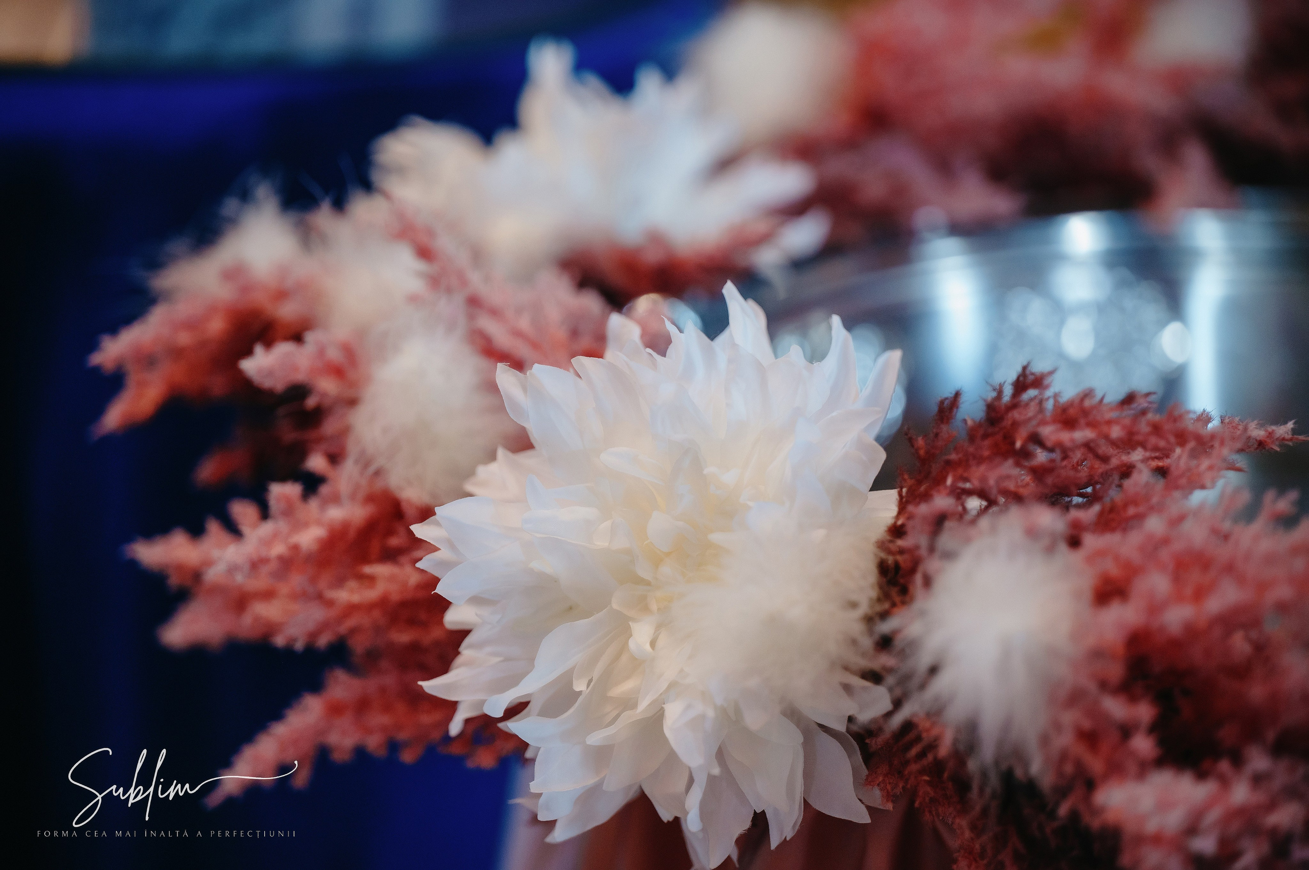 Sublim. Laurentiu Stefan StoryTeller