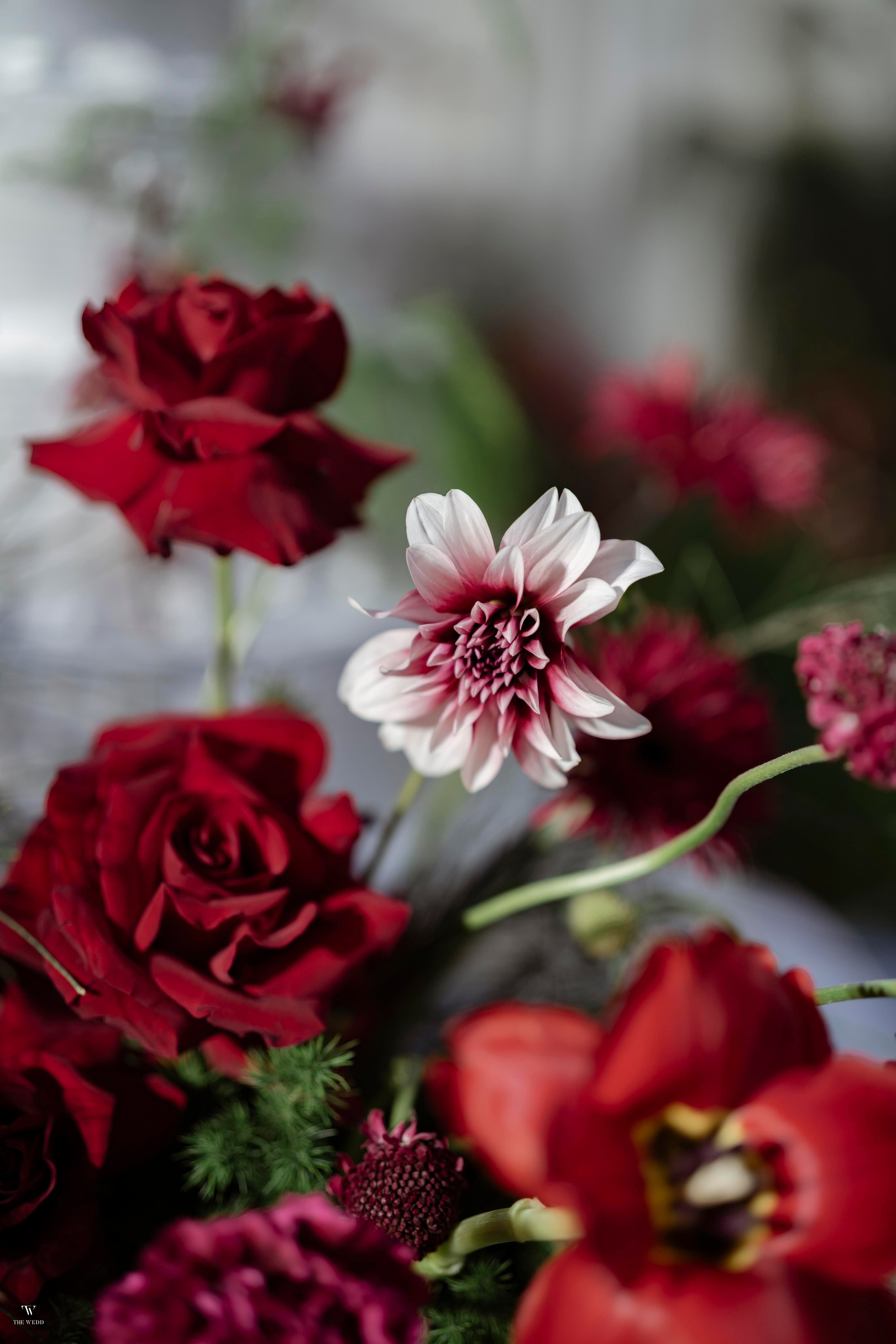 NGHIA & NGOC. WEDDING PHOTOGRAPHER IN VIETNAM