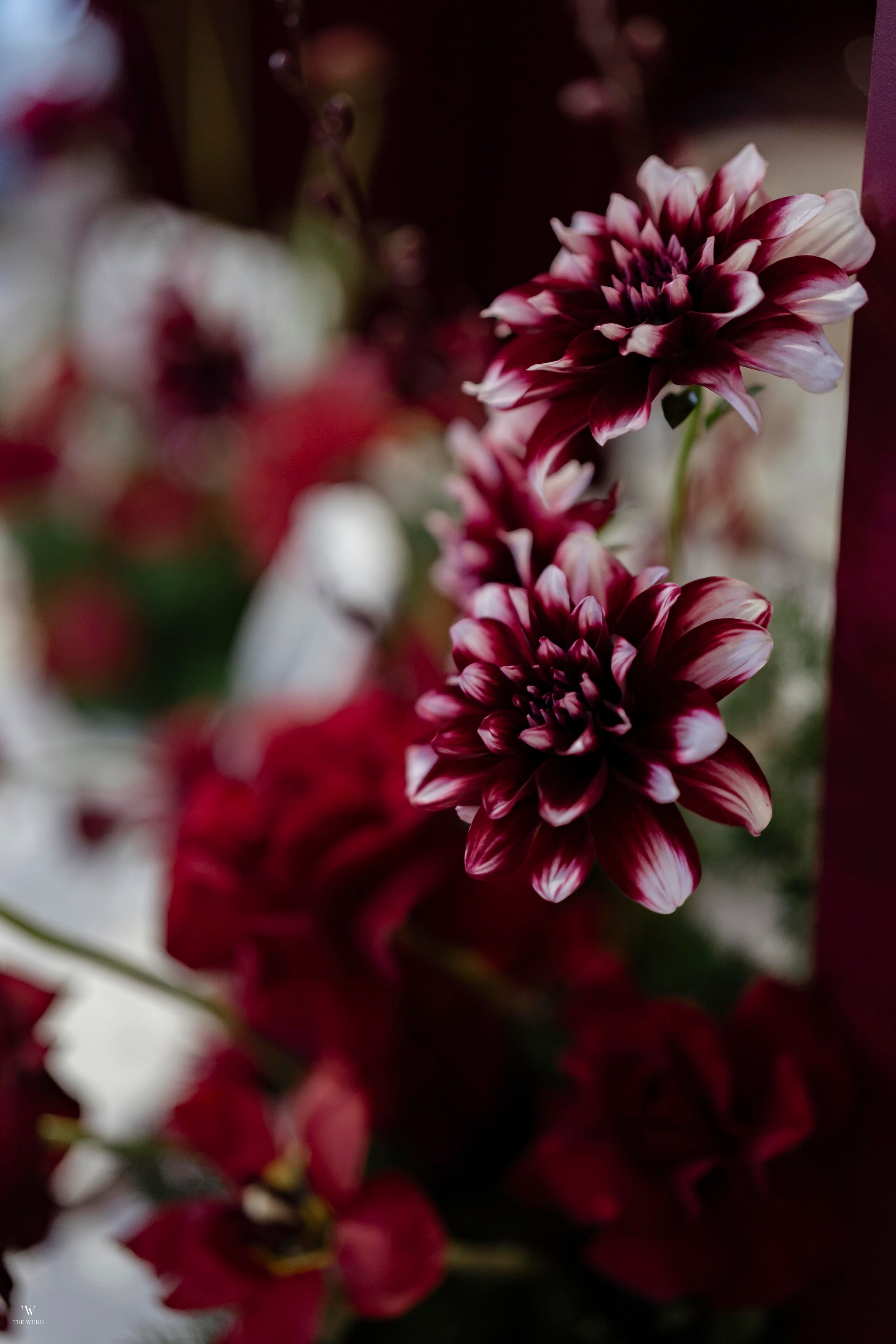 NGHIA & NGOC. WEDDING PHOTOGRAPHER IN VIETNAM