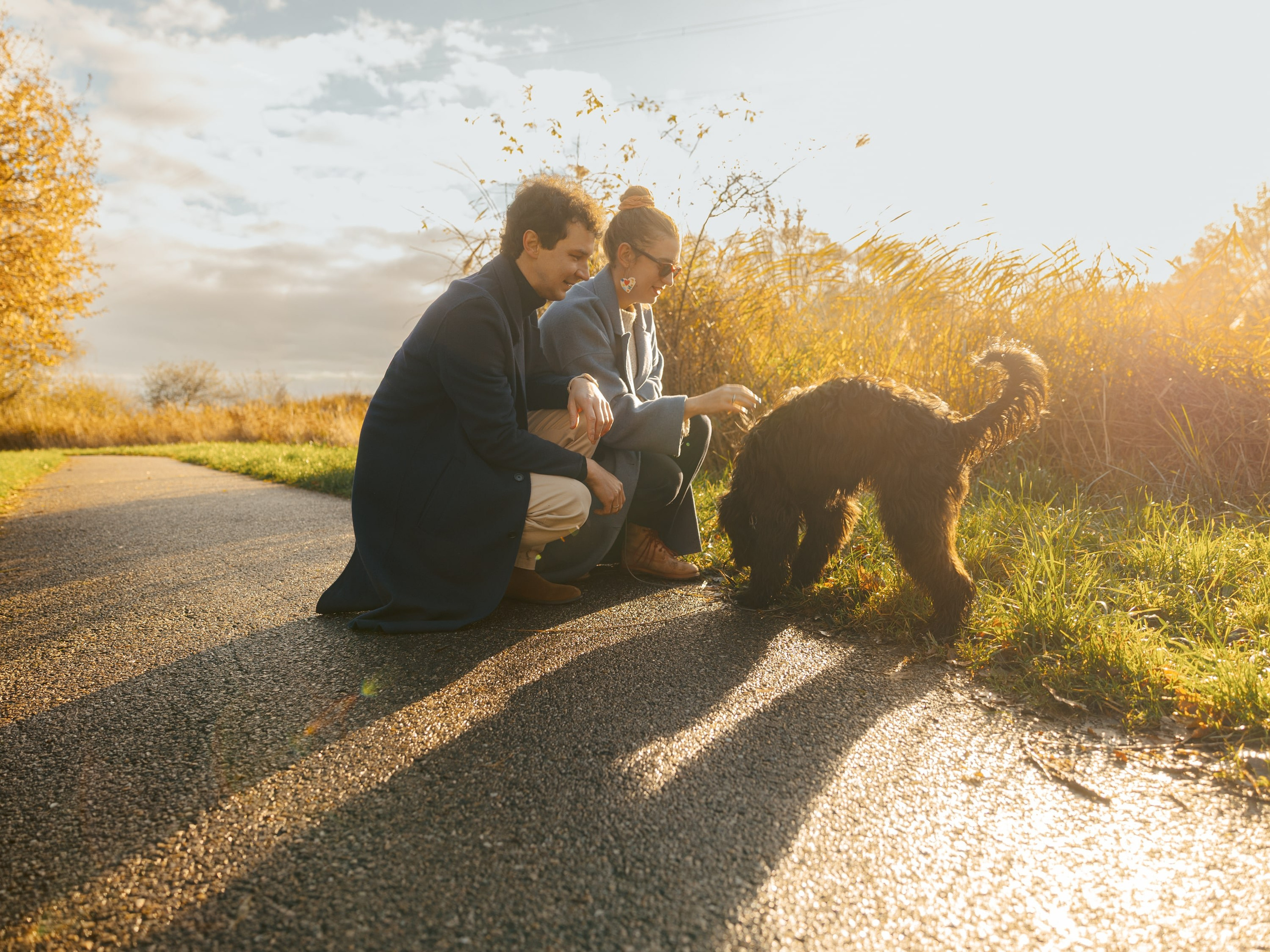 Pet Photoshoot in Spijkenisse | Rotterdam. Romantic & Soulful Photography by Natalia Olhova in Rotterdam