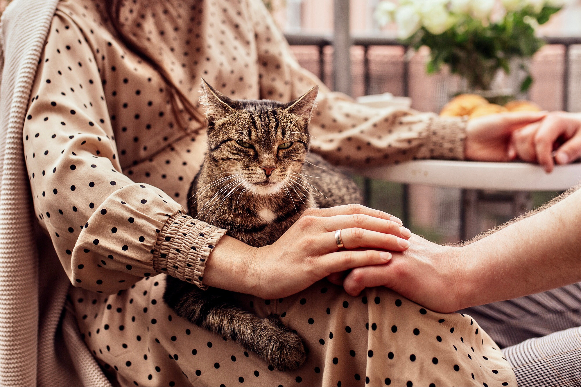 Babybauch und süße Katze:). Hochzeitsfotografie in Berlin Nataliia Schütze